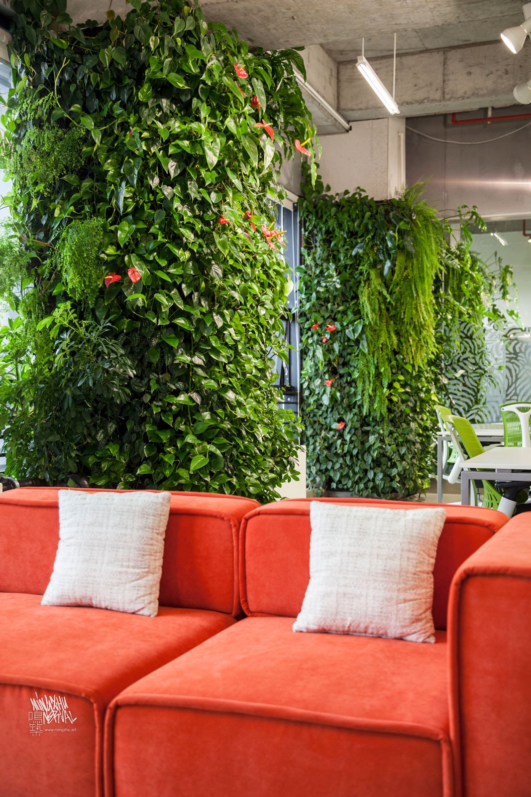 Mingzhu Nerval vertical living wall experts created the healthy nature workspace for the Dawnfinder offices in Shanghai, 2012