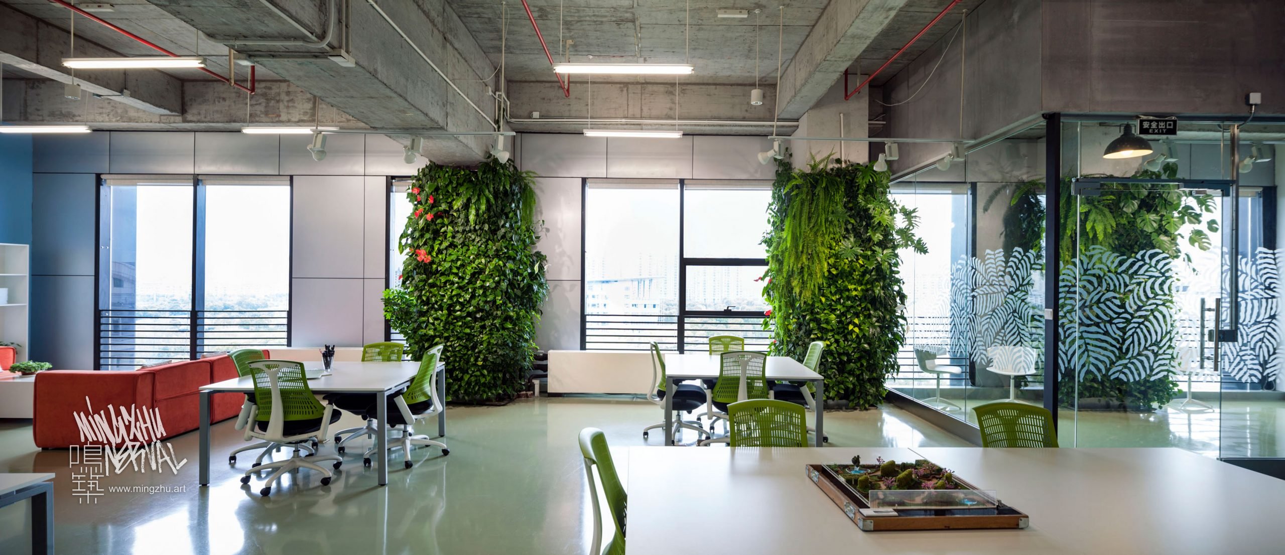 Mingzhu Nerval vertical living wall experts created the healthy nature workspace for the Dawnfinder offices in Shanghai, 2012