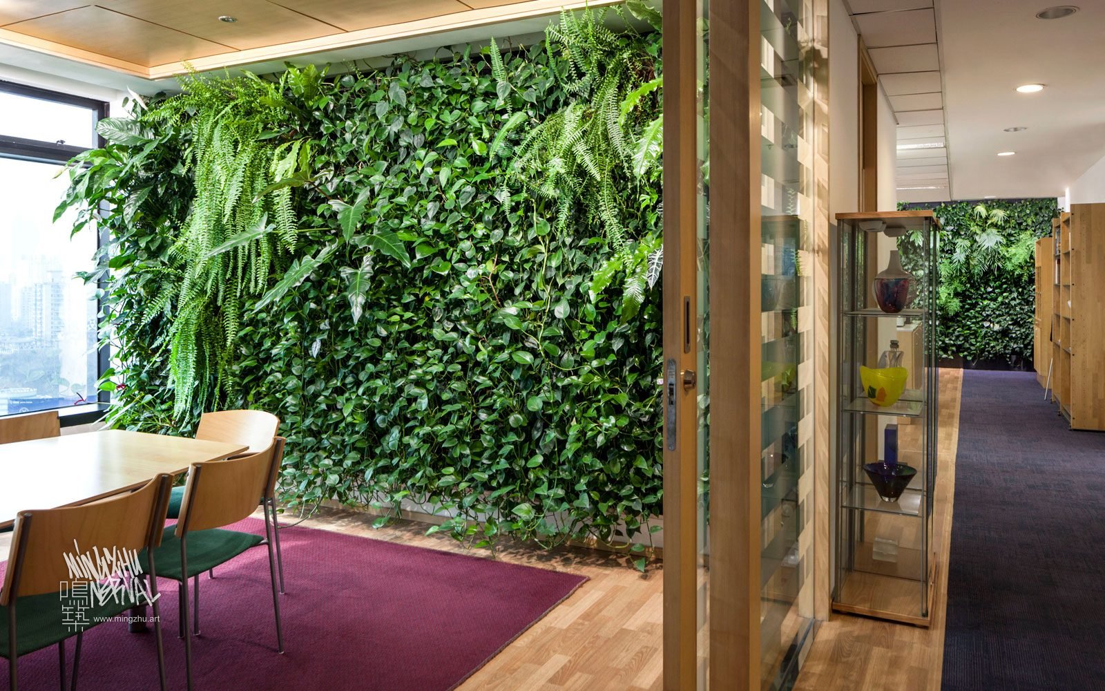 Mingzhu Nerval vertical living wall experts created a healthy nature workspace at the Swedish Consulate in Shanghai, 2012