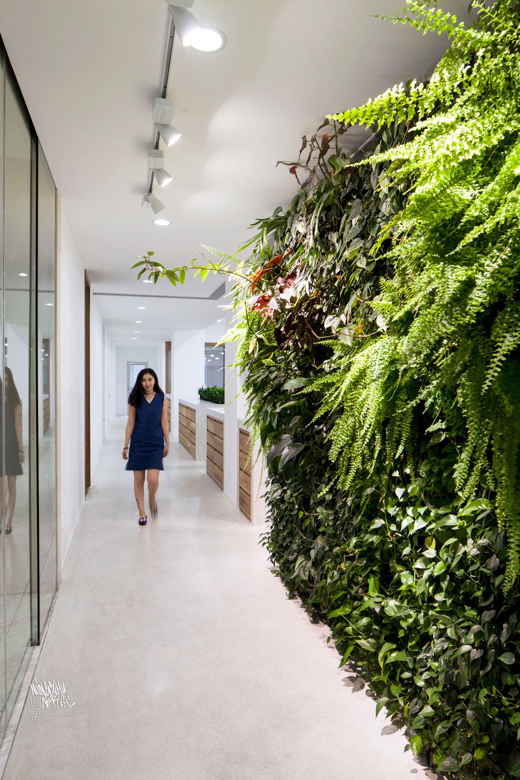 Mingzhu Nerval vertical living wall experts created a healthy nature workspace for the ICICLE Headquarters in Shanghai, 2016