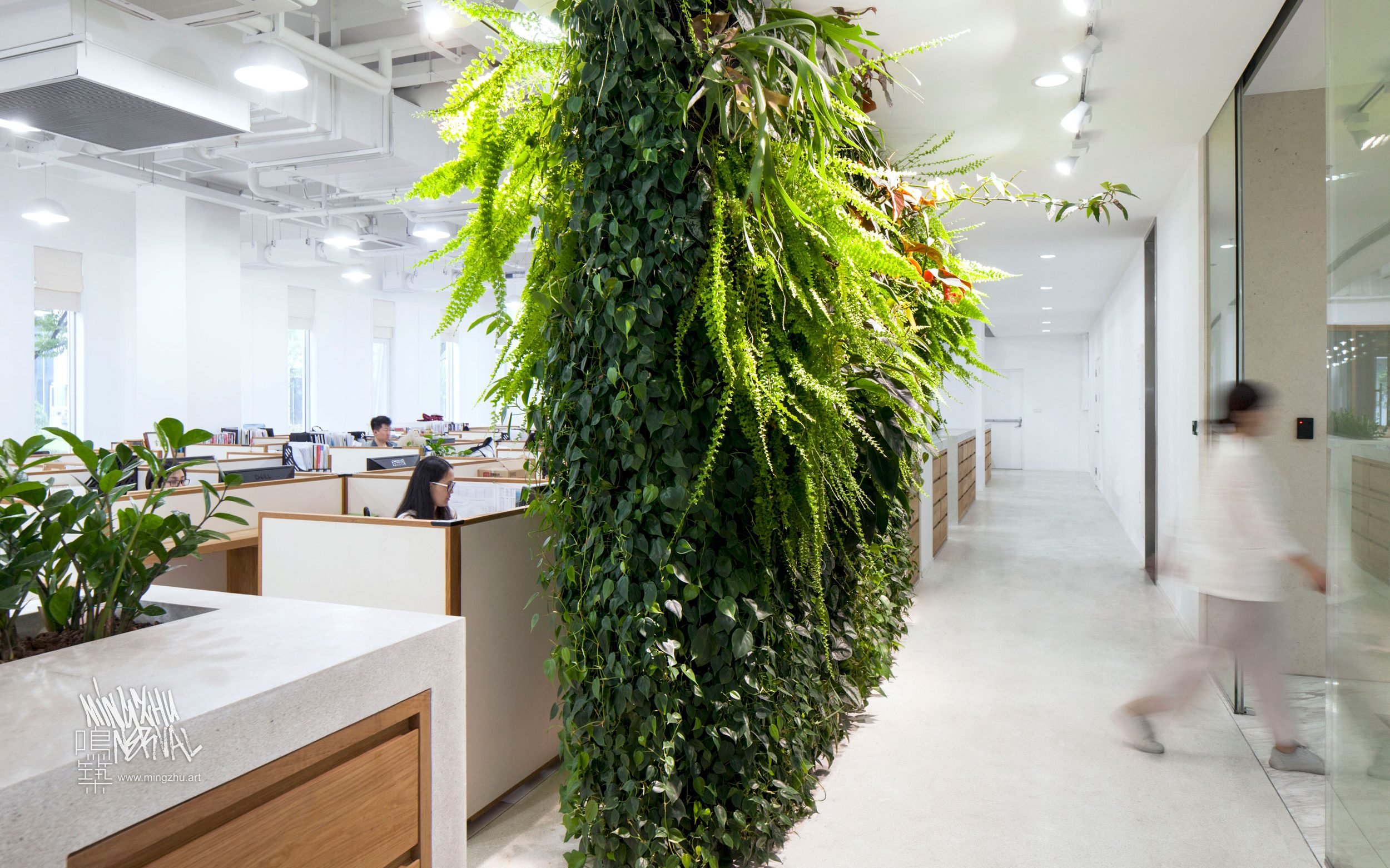 At Mingzhu Nerval, we thrive at creating the most beautiful vertical gardens in the world. For ICICLE, we created an elegant living wall – Shanghai, 2016.