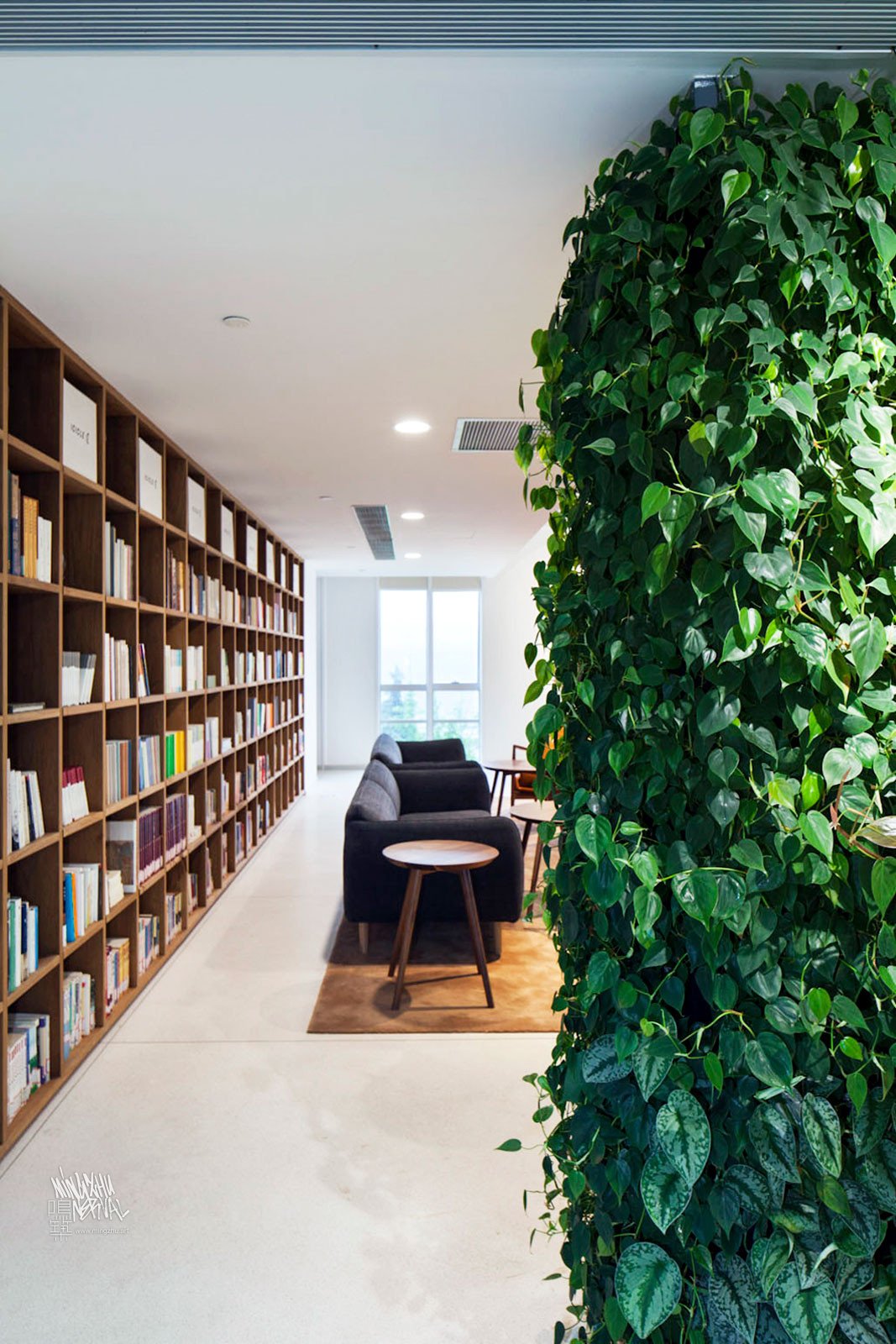 Mingzhu Nerval vertical living wall experts created a healthy nature workspace for the ICICLE Headquarters in Shanghai, 2016