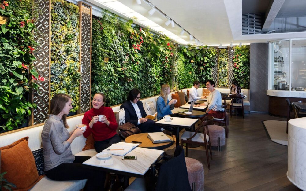 Mingzhu Nerval vertical living wall experts created a vertical living green wall for Peet's Coffee in Shanghai, 2017
