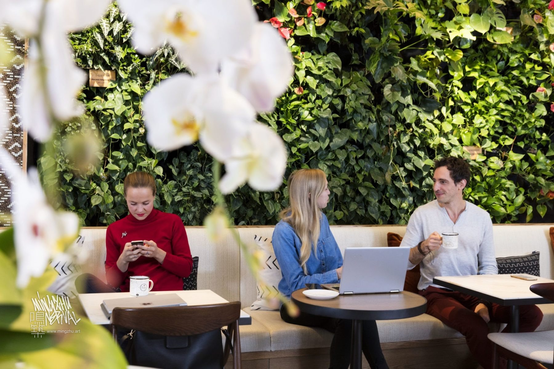 Mingzhu Nerval vertical living wall experts - vertical living green wall for Peet's Coffee Flagship, 2017