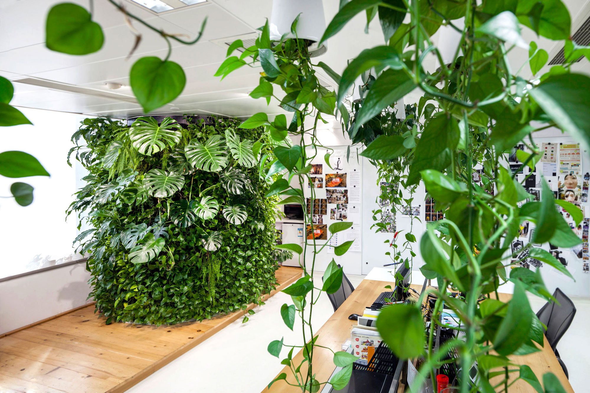 Vertical garden by Mingzhu Nerval at Landor in Shanghai, 2013