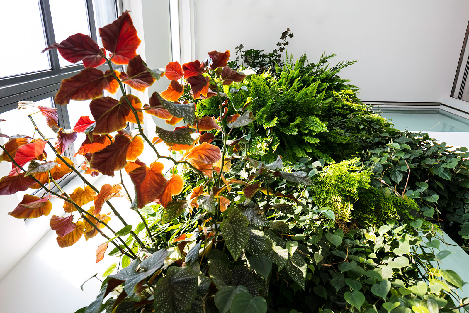 Vertical garden by Mingzhu Nerval at the German Center in Taicing, 2013