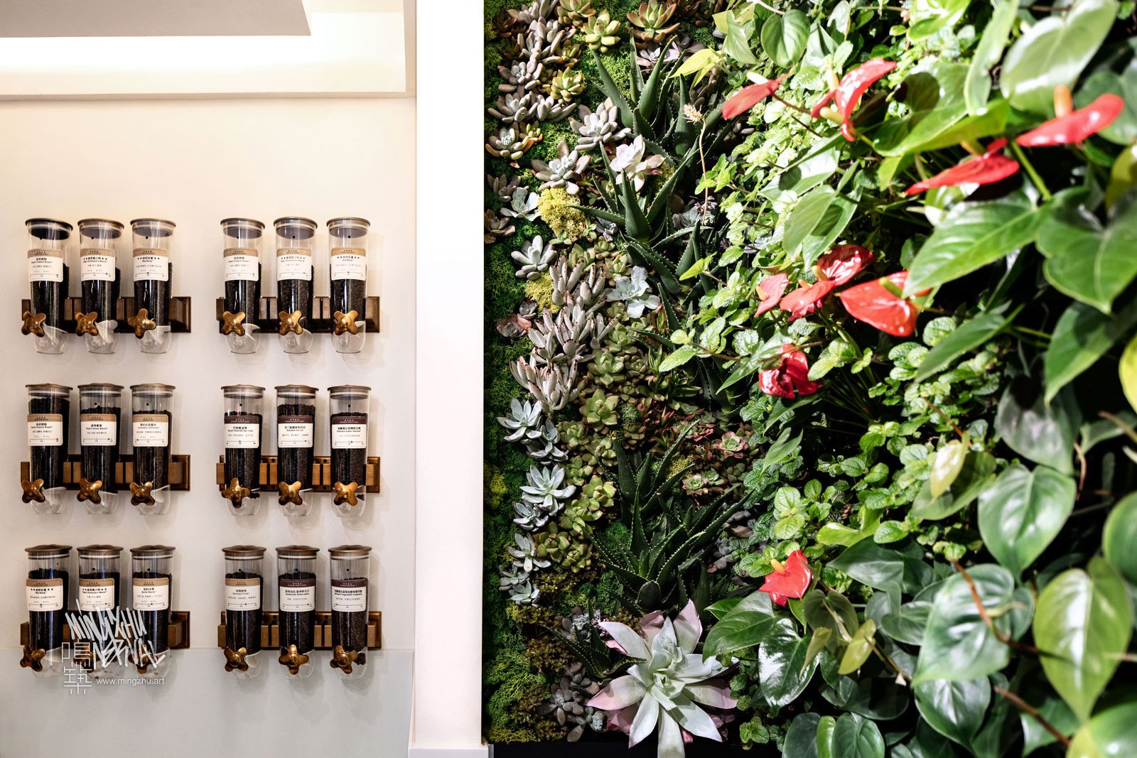 Mingzhu Nerval vertical living wall experts created the best garden design art at Peet's Coffee in Shanghai, 2018