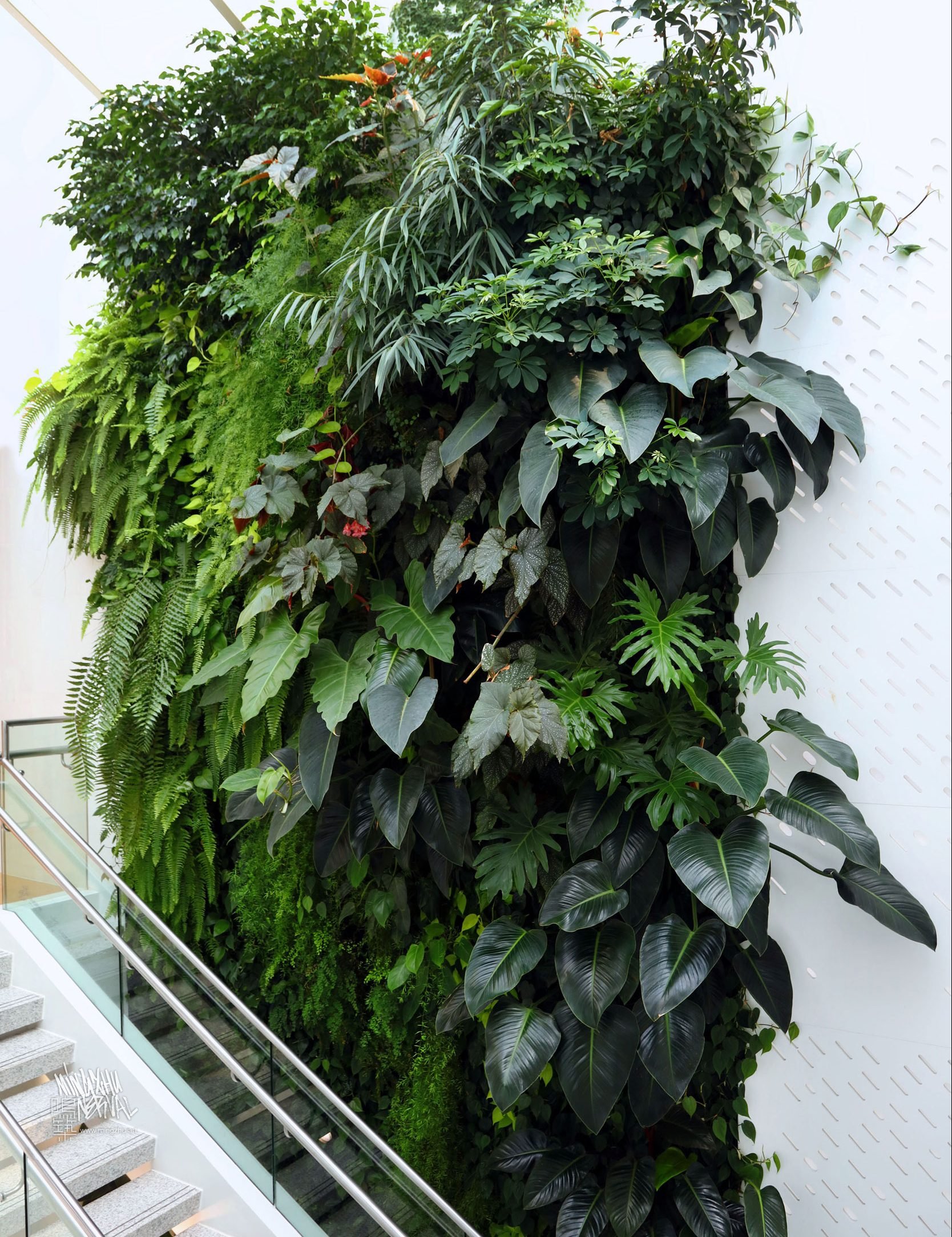 At Mingzhu Nerval, we thrive at creating the most beautiful vertical gardens in the world. For Nu Skin, we created an awesome living wall design - Shanghai, 2013.