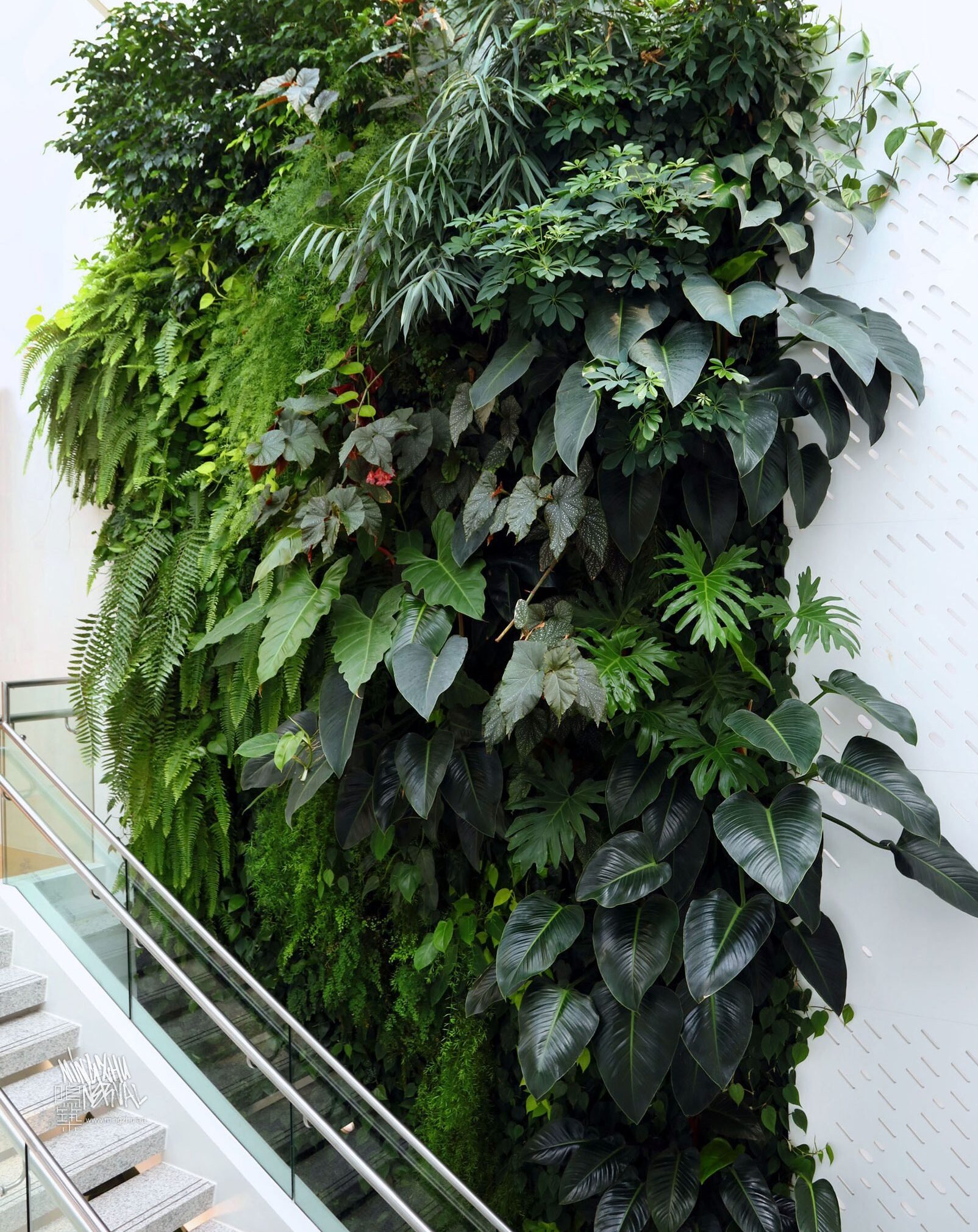 Mingzhu Nerval vertical living wall experts created the best garden design art at Nu Skin in Shanghai, 2013