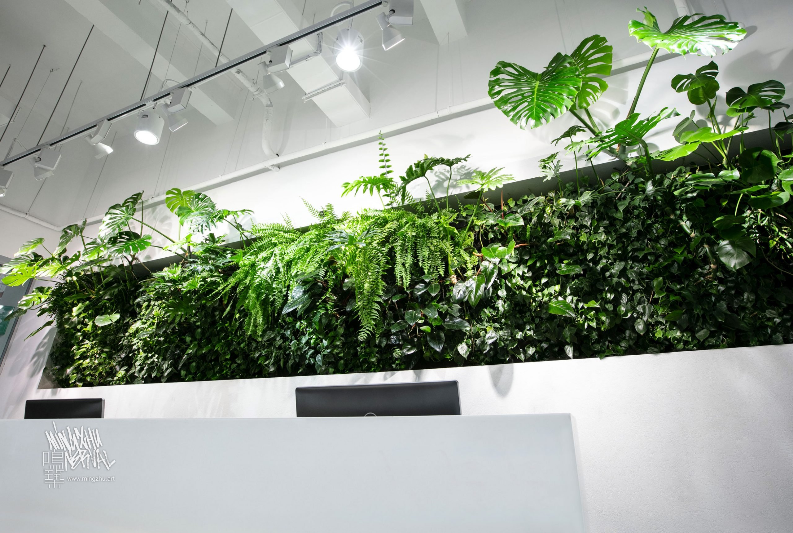 Mingzhu Nerval vertical living wall experts created a healthy nature workspace at AkzoNobel in Shanghai, 2019