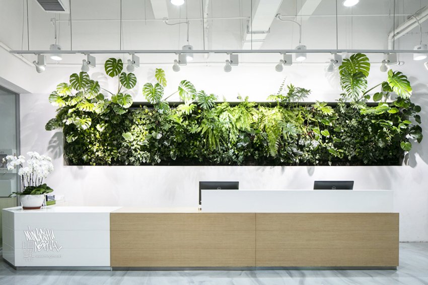 Mingzhu Nerval vertical living wall experts created a healthy nature workspace at AkzoNobel in Shanghai, 2019