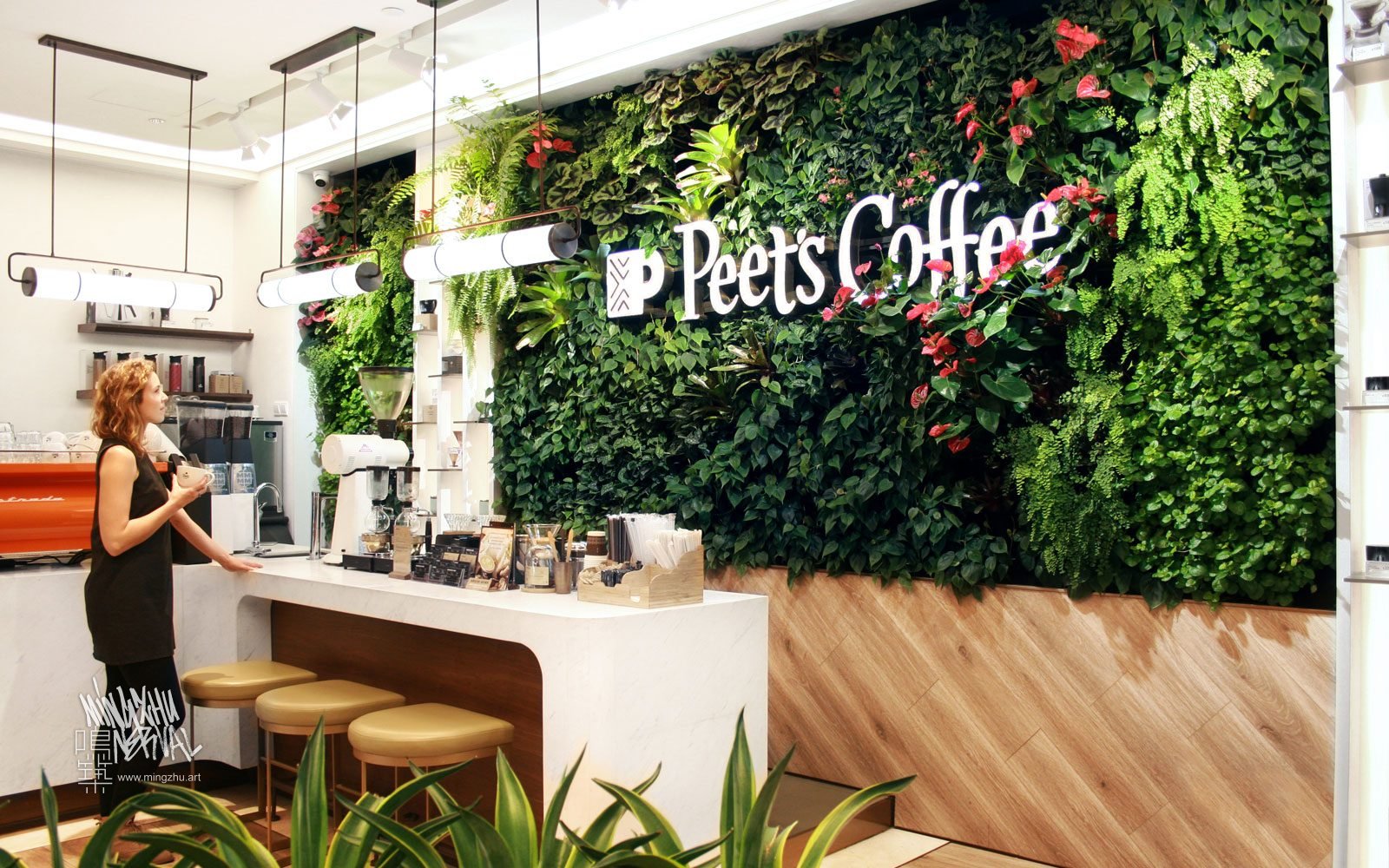 At Mingzhu Nerval, we thrive at creating the most beautiful vertical gardens in the world. For Peet's Coffee, we created a Californian living wall design – Shanghai, 2019.