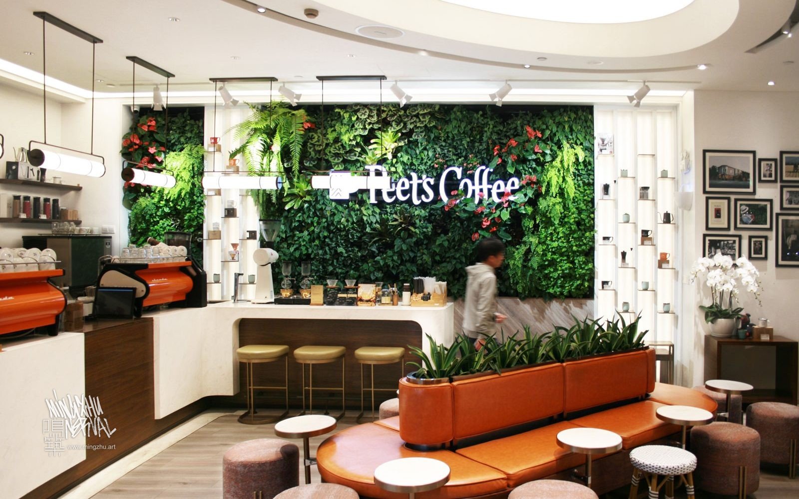 At Mingzhu Nerval, we thrive at creating the most beautiful vertical gardens in the world. For Peet's Coffee, we created a Californian living wall design – Shanghai, 2019.