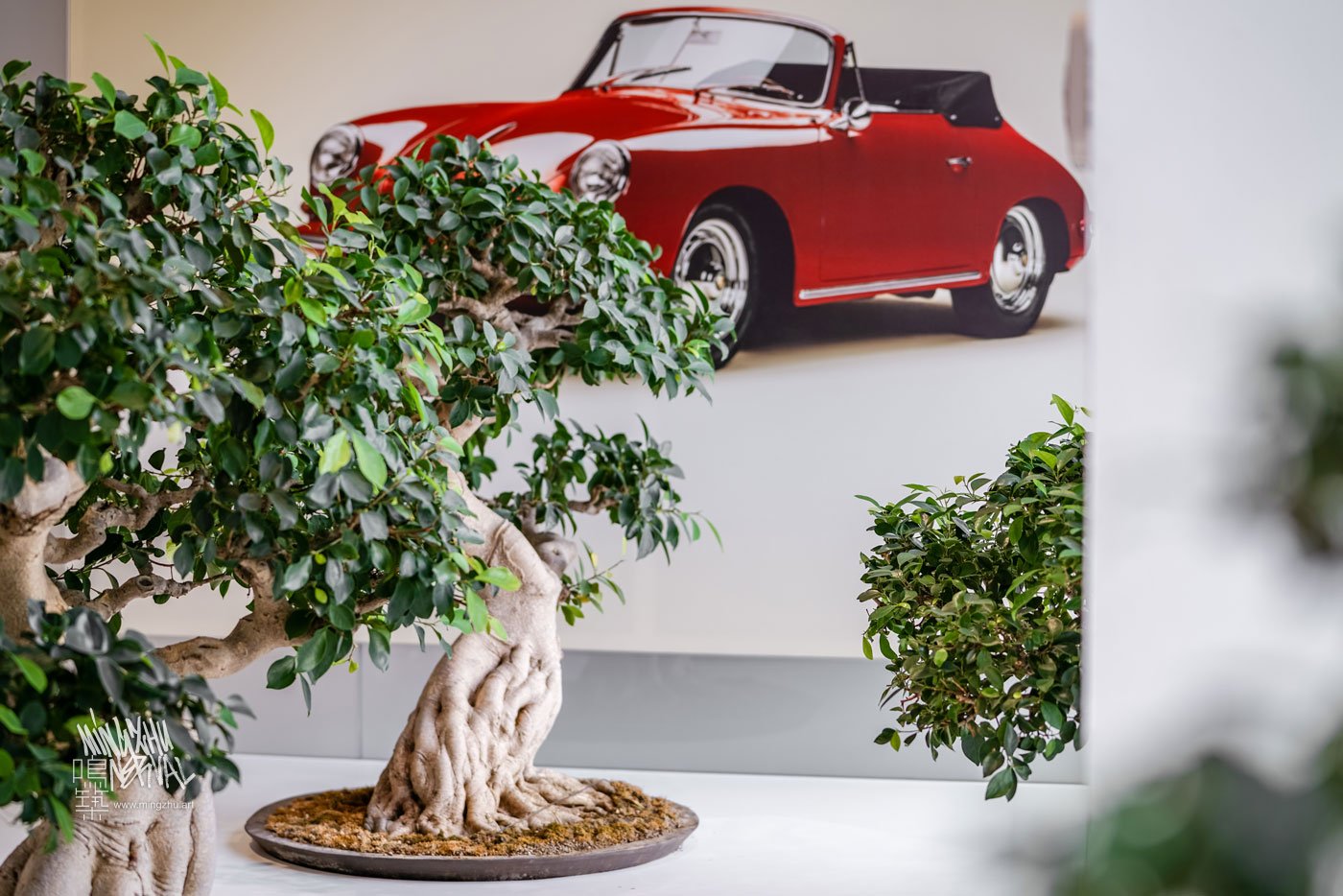 Vertical Garden by Mingzhu Nerval – Porsche