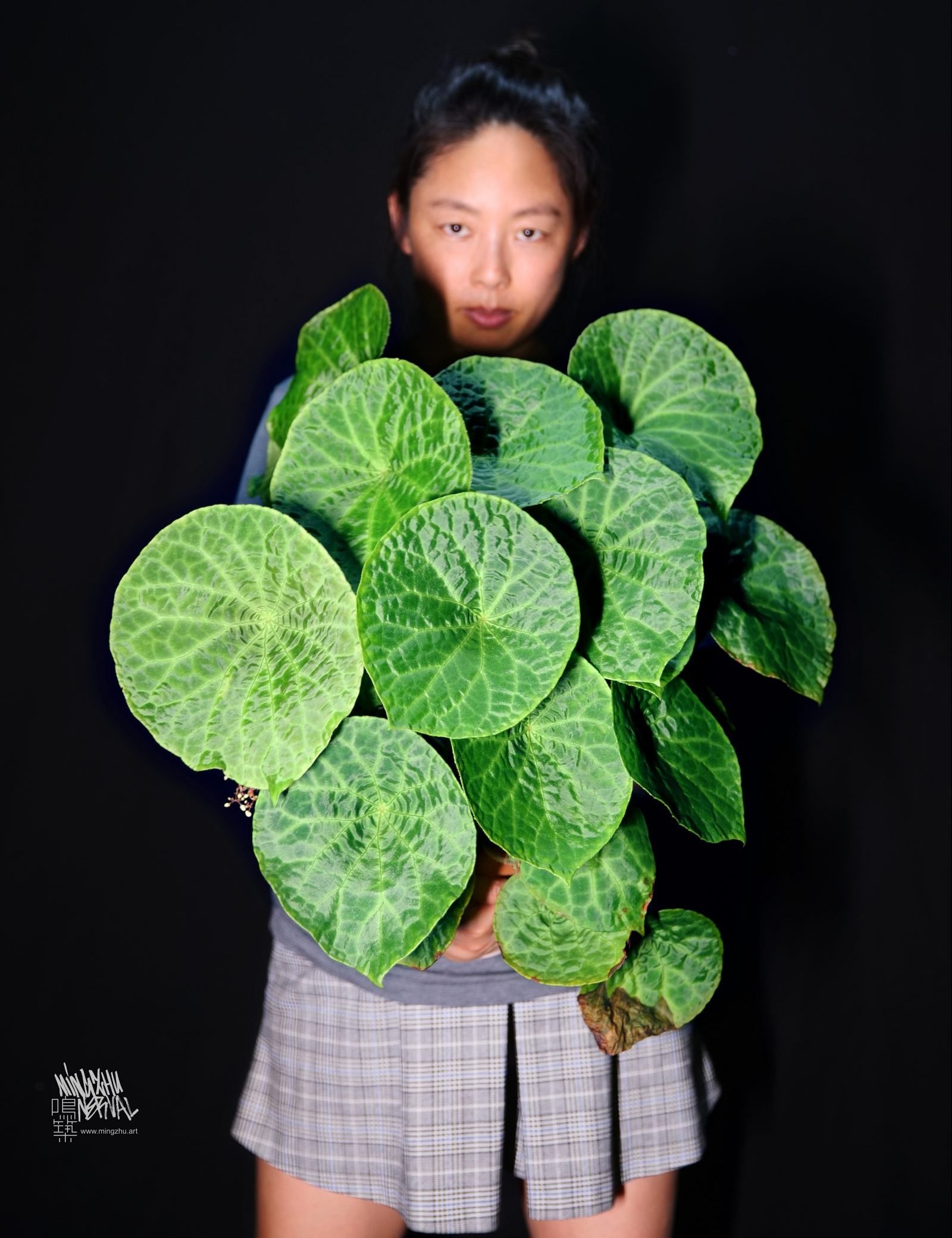 Mingzhu Nerval, creating the most beautiful vertical gardens in the world!