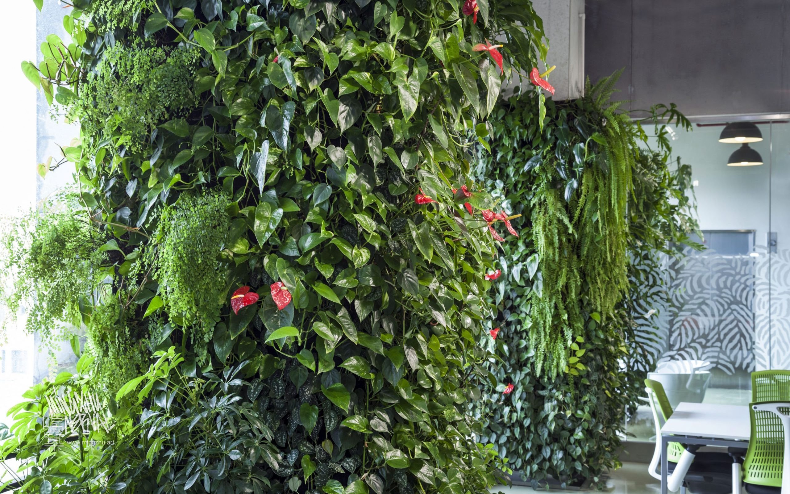 Mingzhu Nerval vertical living wall experts created the healthy nature workspace for the Dawnfinder offices in Shanghai, 2012