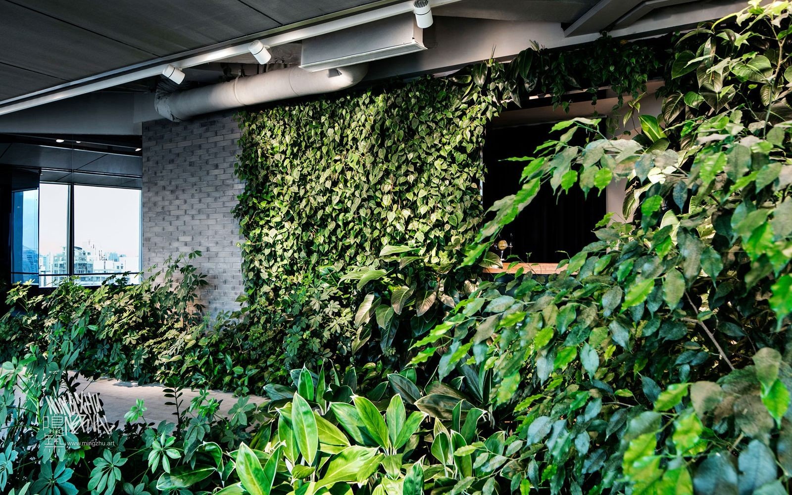 Mingzhu Nerval vertical living wall experts created the best garden design art for the Hines offices in Shanghai, 2016