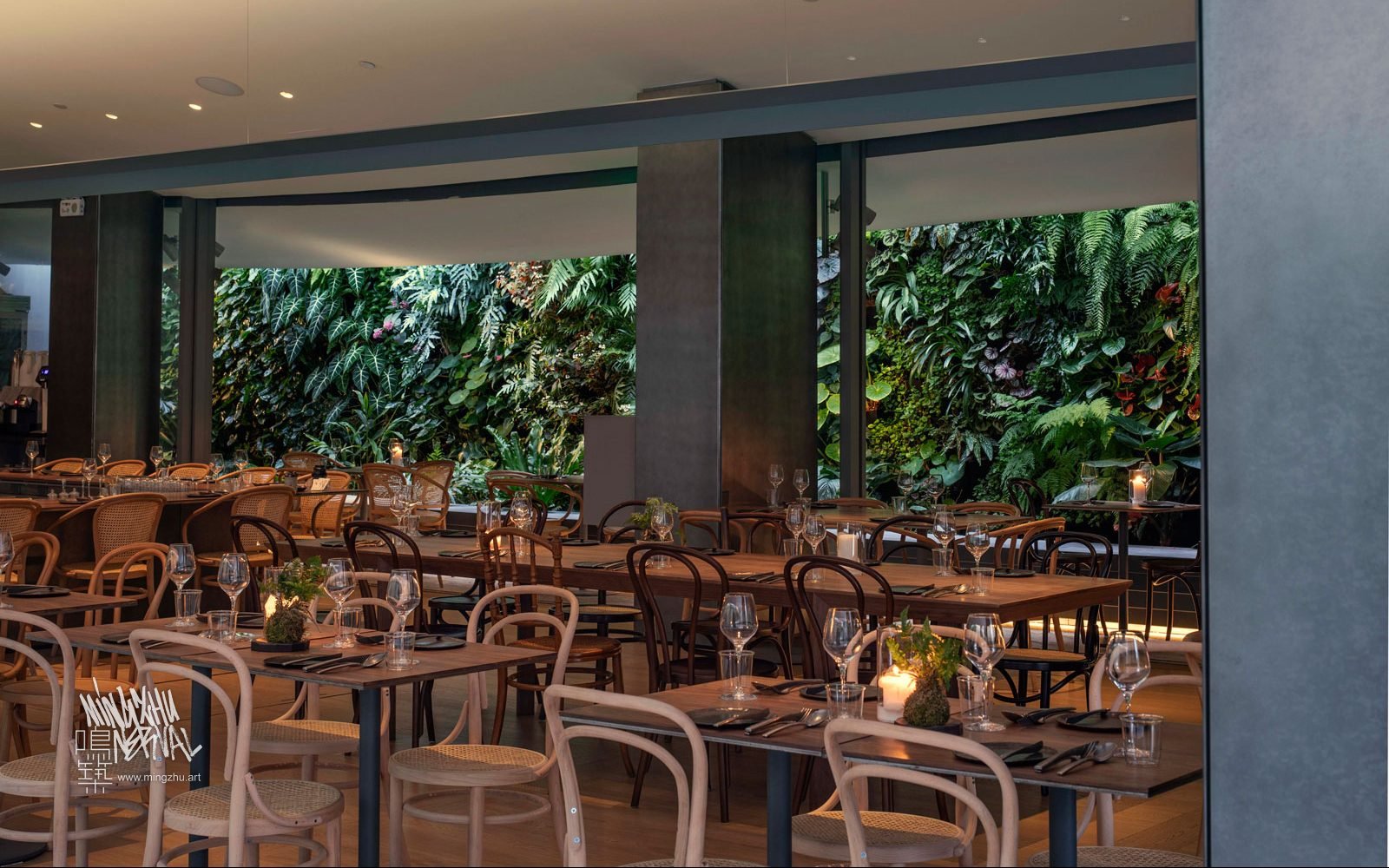 Vertical Garden by Mingzhu Nerval | Bloom At Mingzhu Nerval, we thrive at creating the most beautiful vertical gardens in the world. For Bloom, we created a wonderful garden restaurant design - Shanghai, 2018.