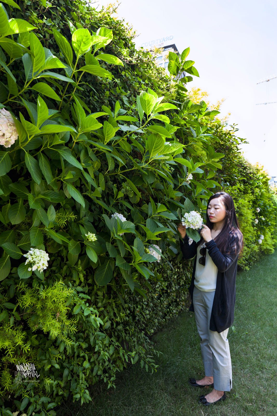 Mingzhu Nerval vertical living walls experts created a healthy nature workspace for Ogilvy in Shanghai, 2016