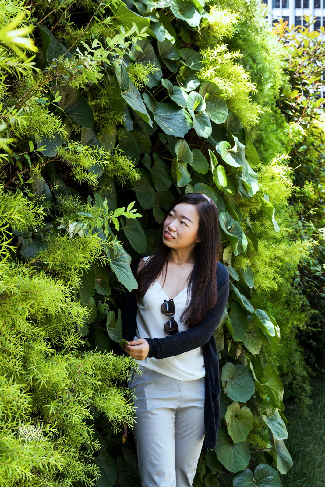 Mingzhu Nerval vertical living walls experts created a healthy nature workspace for Ogilvy in Shanghai, 2016