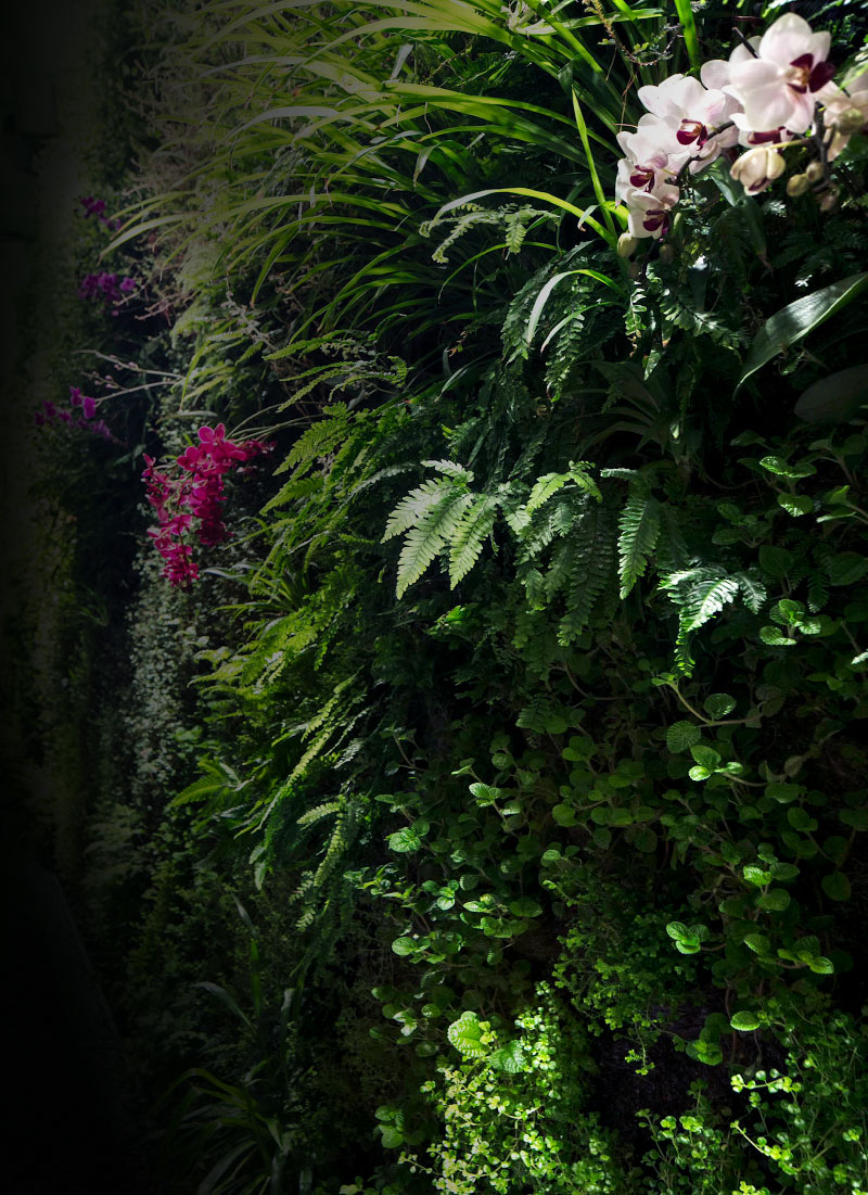 Mingzhu Nerval vertical living wall experts created the garden design for this luxury home villa in Hong Kong, 2016