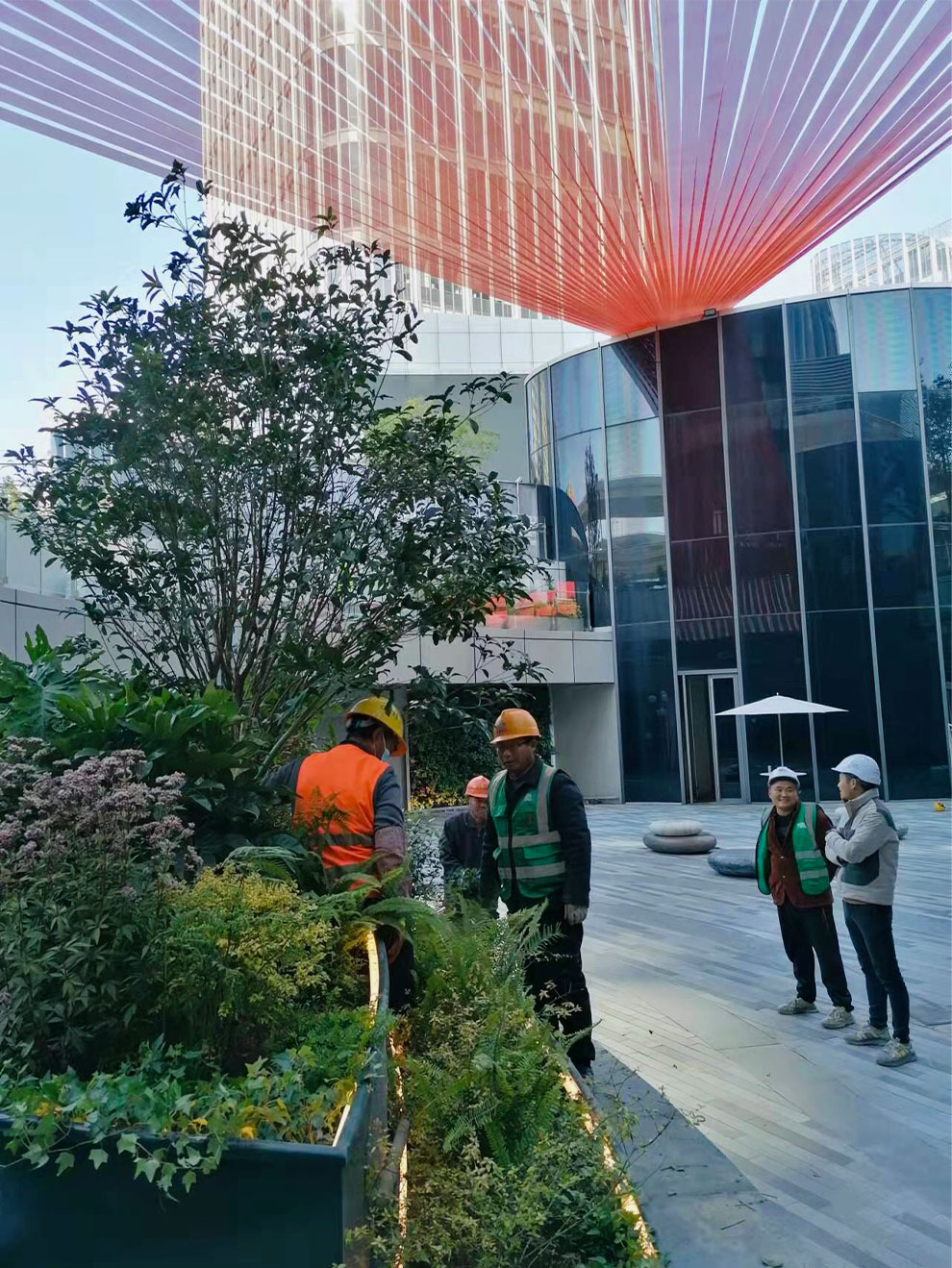 Mingzhu Nerval vertical living wall experts at Brookfield commercial plaza construction garden canopy, Shanghai, 2021