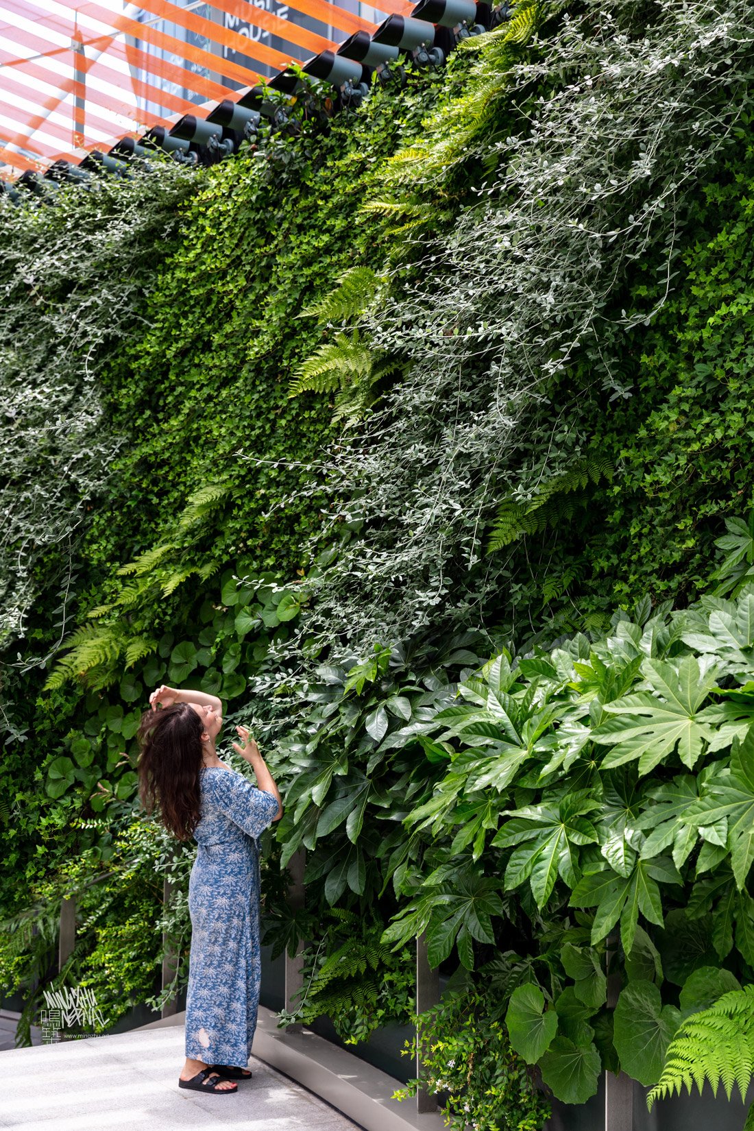 Mingzhu Nerval vertical living wall experts at Brookfield commercial plaza, Shanghai, 2022