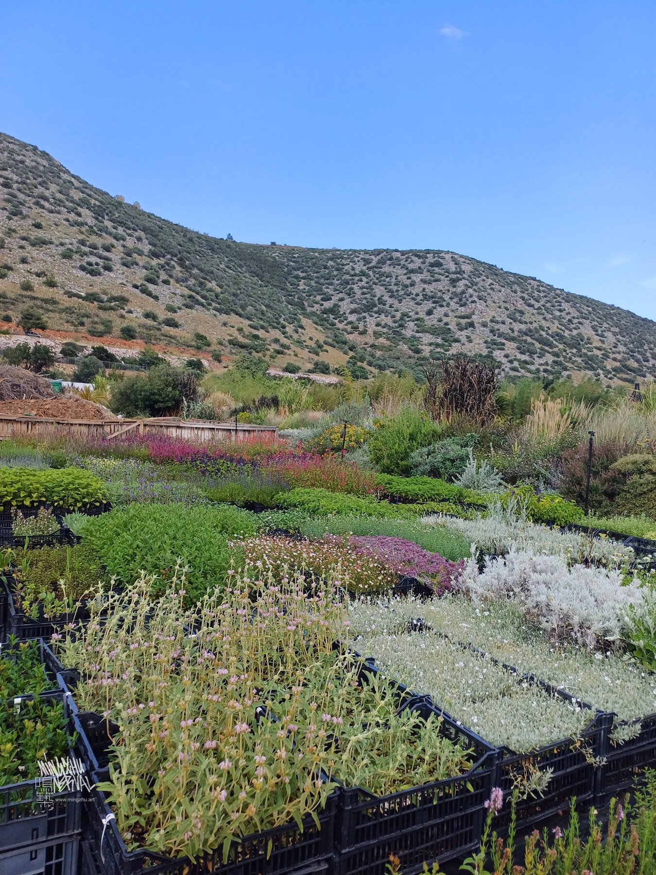 Mingzhu Nerval Horticultural Field Trip to Athens, 2023