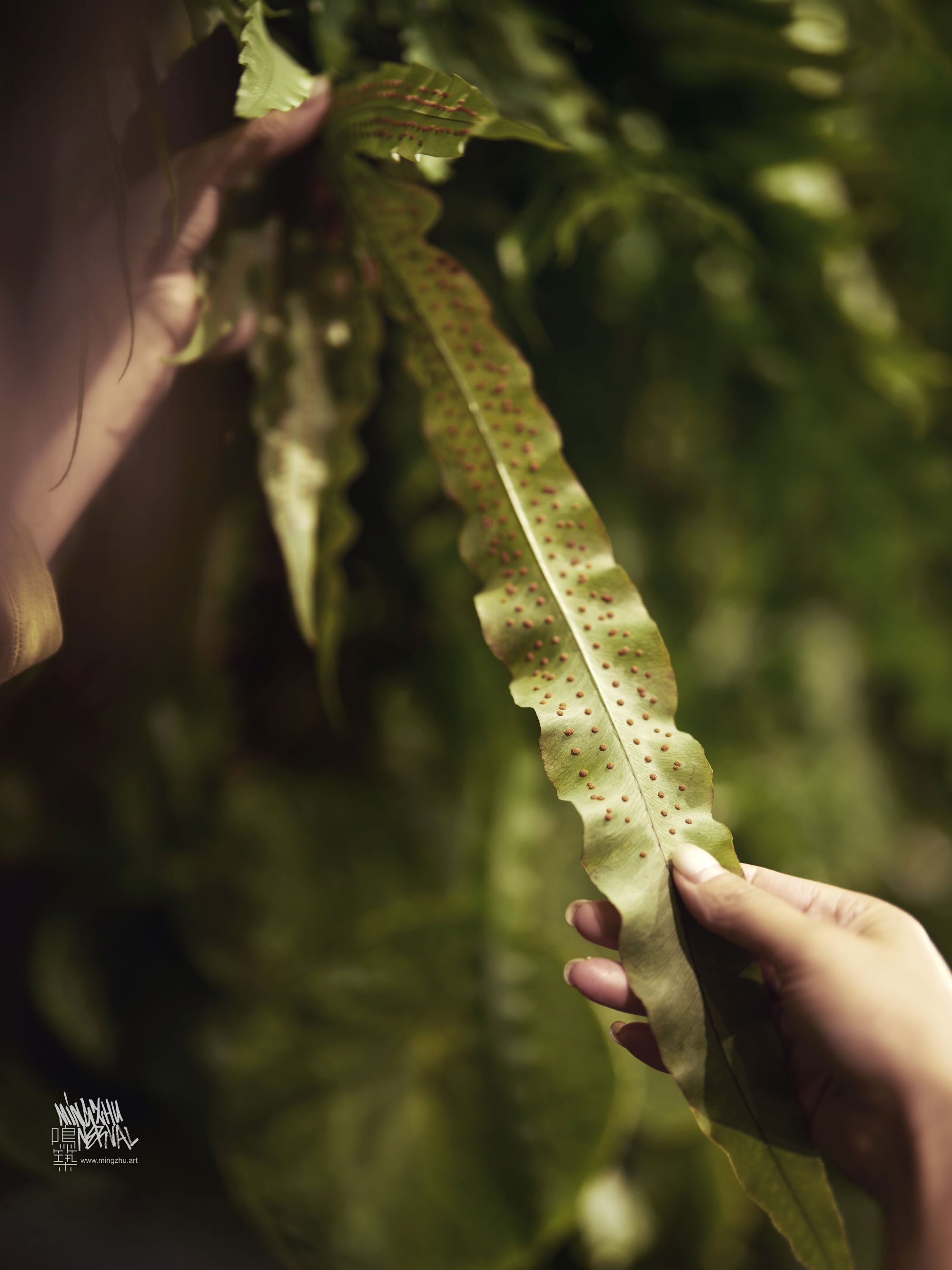 Mingzhu Nerval, boutique garden design for BOUCHERON in Shanghai Xintiandi, 2025