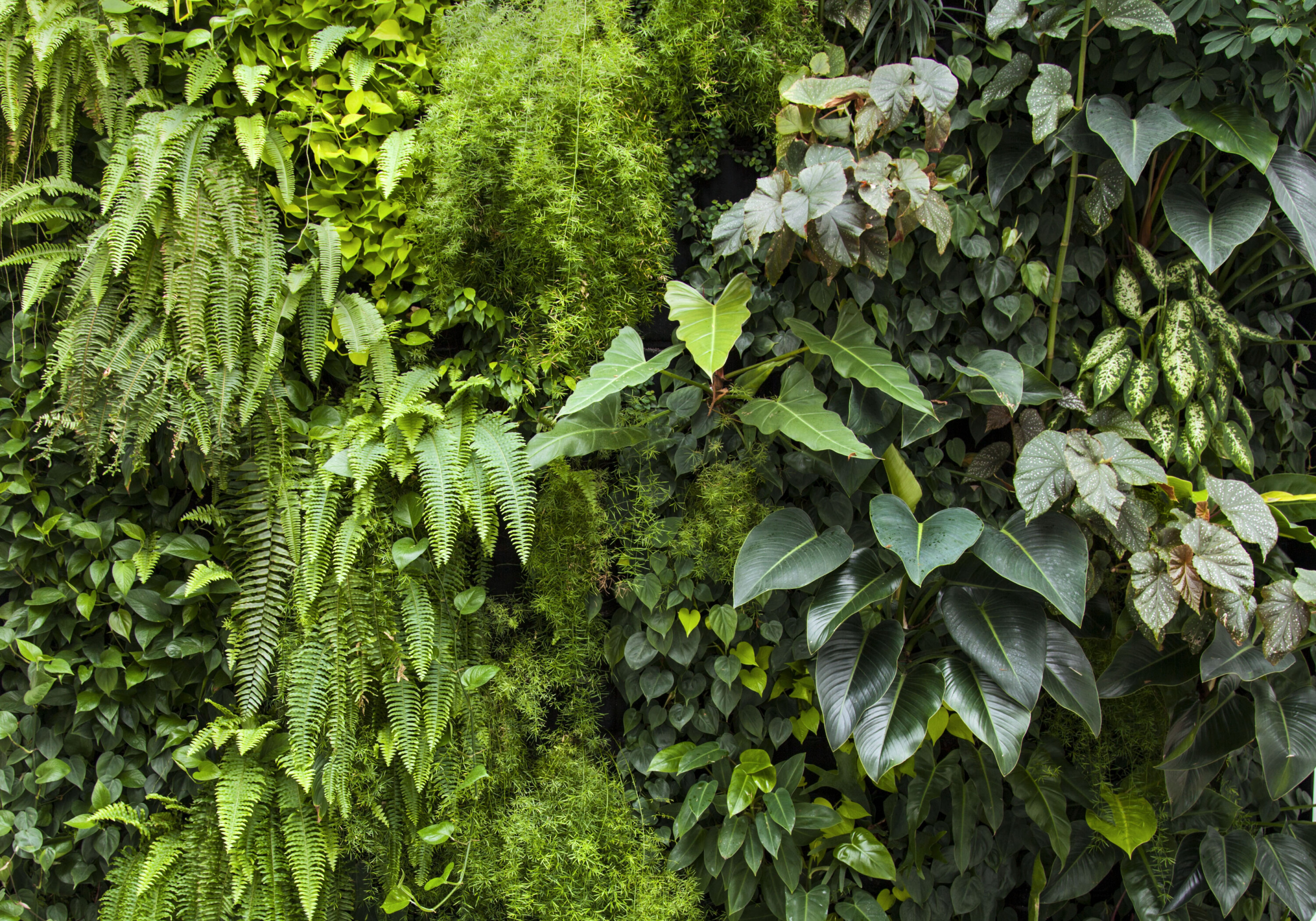 Art of the garden by Mingzhu Nerval | Nu Skin in Shanghai, 2013