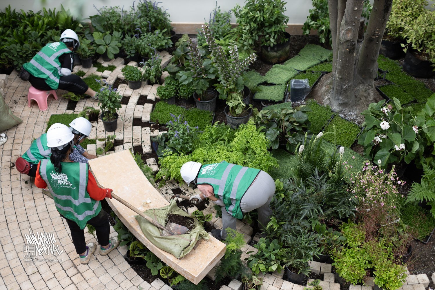Mingzhu Nerval, building a garden for LOEWE in Chengdu, 2024