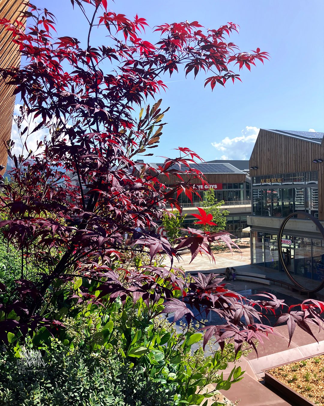 Friche NEYRPIC, Grenoble, Living Wall by Mingzhu Nerval