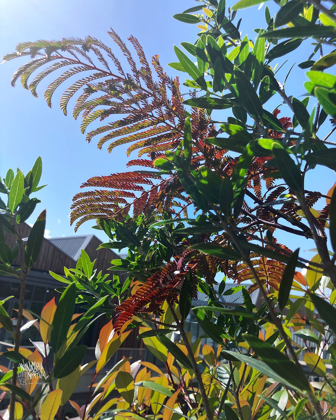 Friche NEYRPIC, Grenoble, Living Wall by Mingzhu Nerval