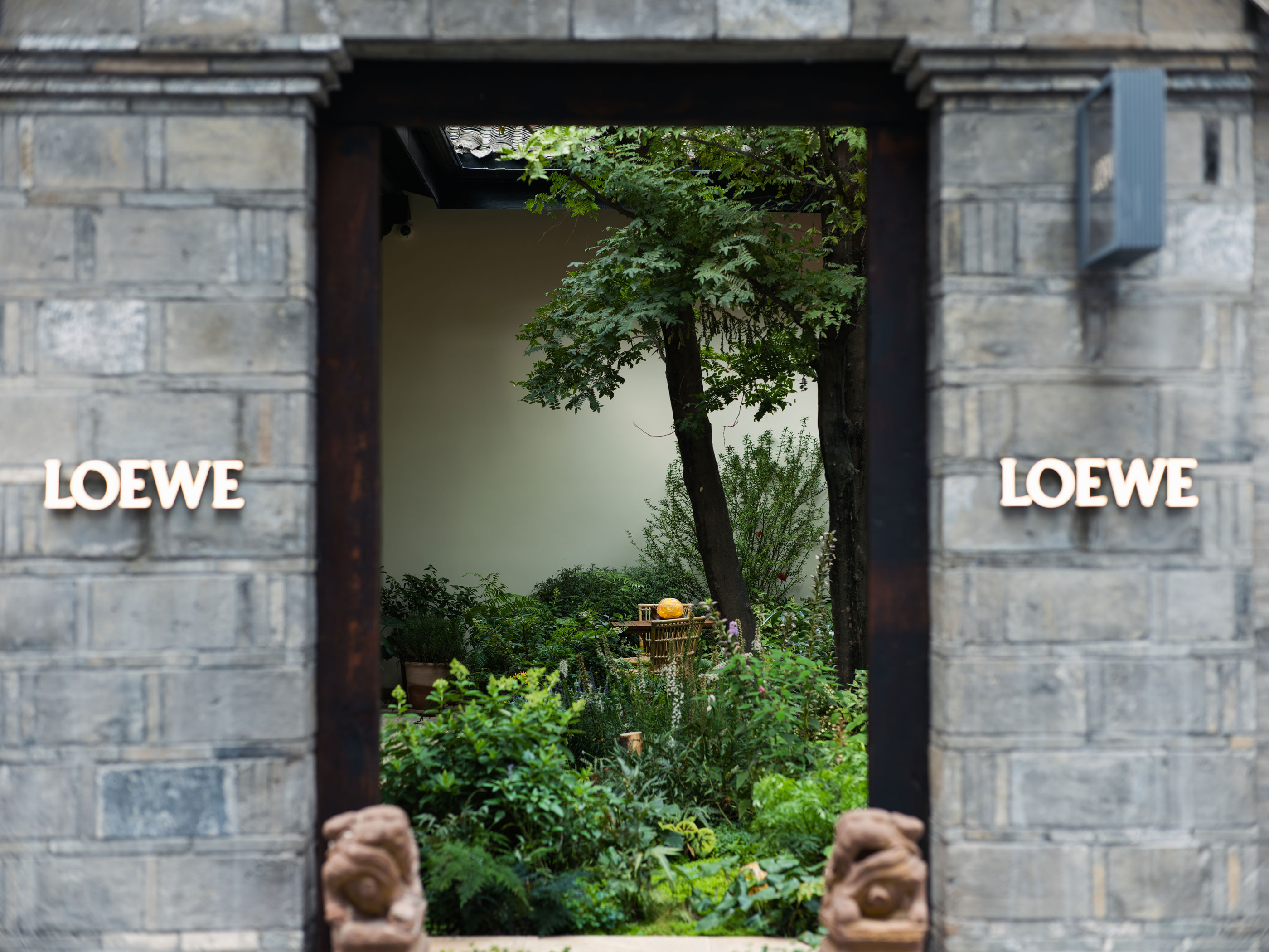 Loewe-Chengdu_MZFJ0883_sfw