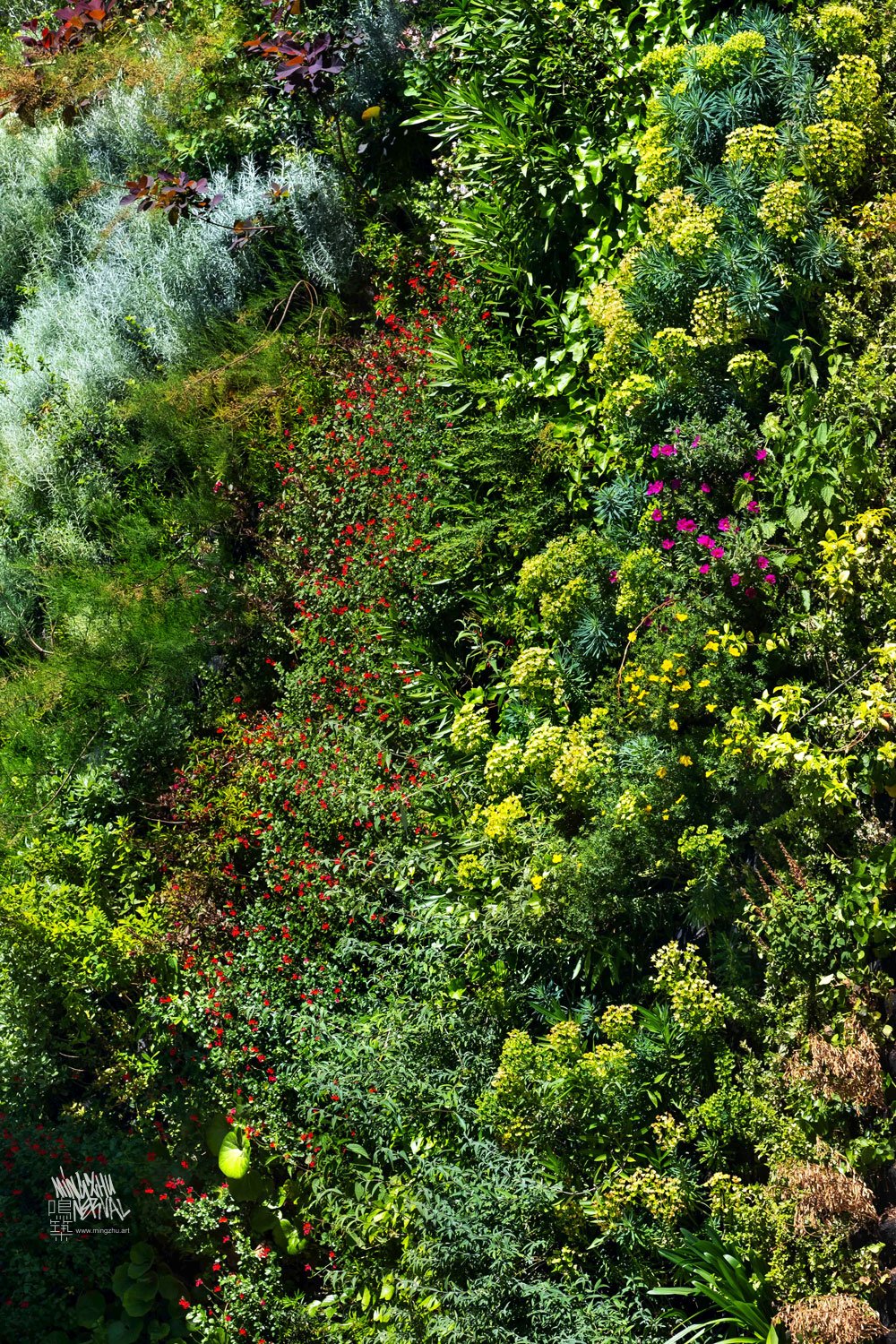 Mingzhu Nerval living wall mural in Macon, France