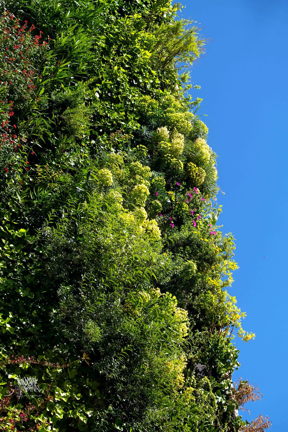 Mingzhu Nerval living wall mural in Macon, France
