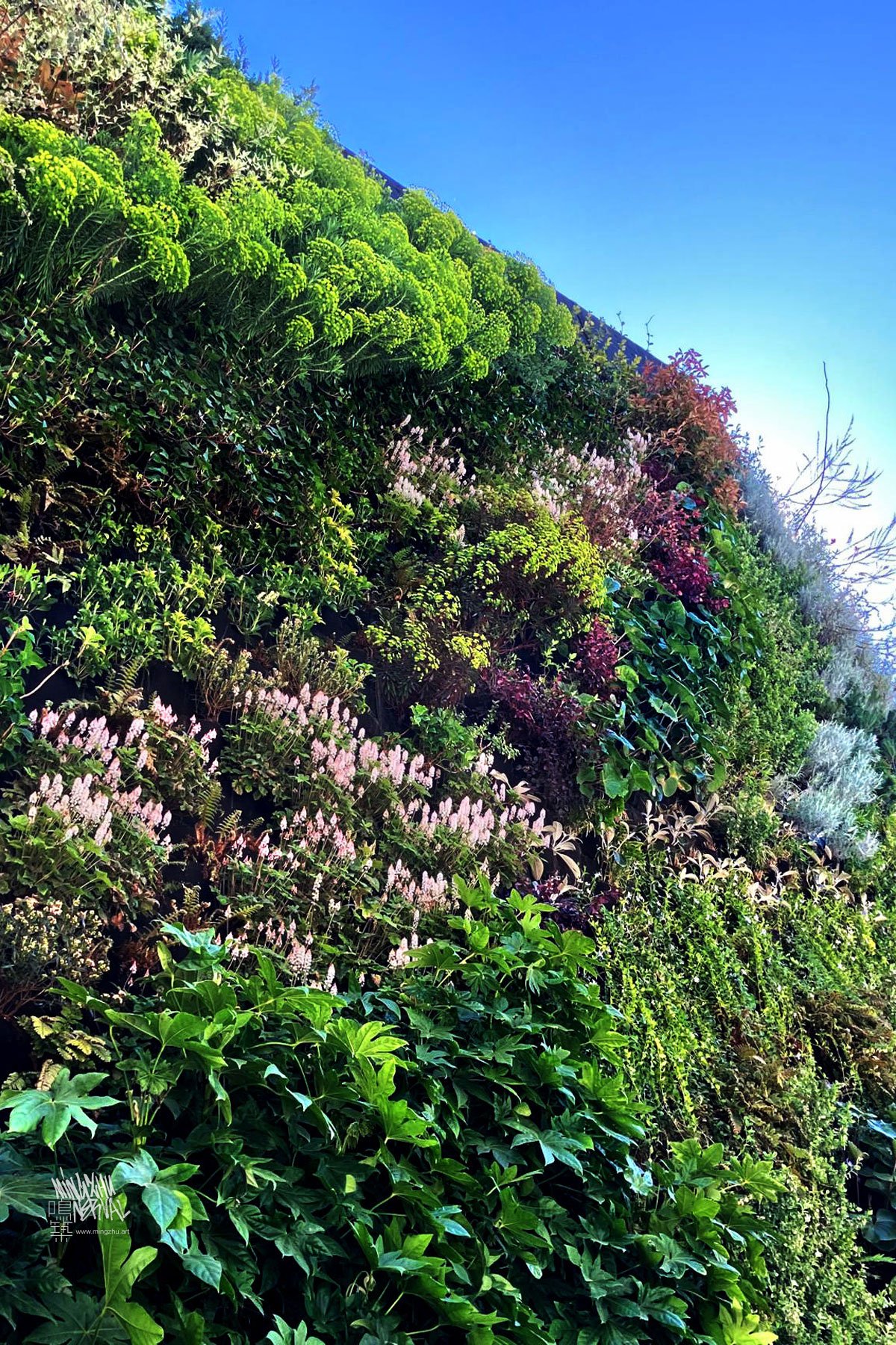 Mingzhu Nerval living wall mural in Macon, France