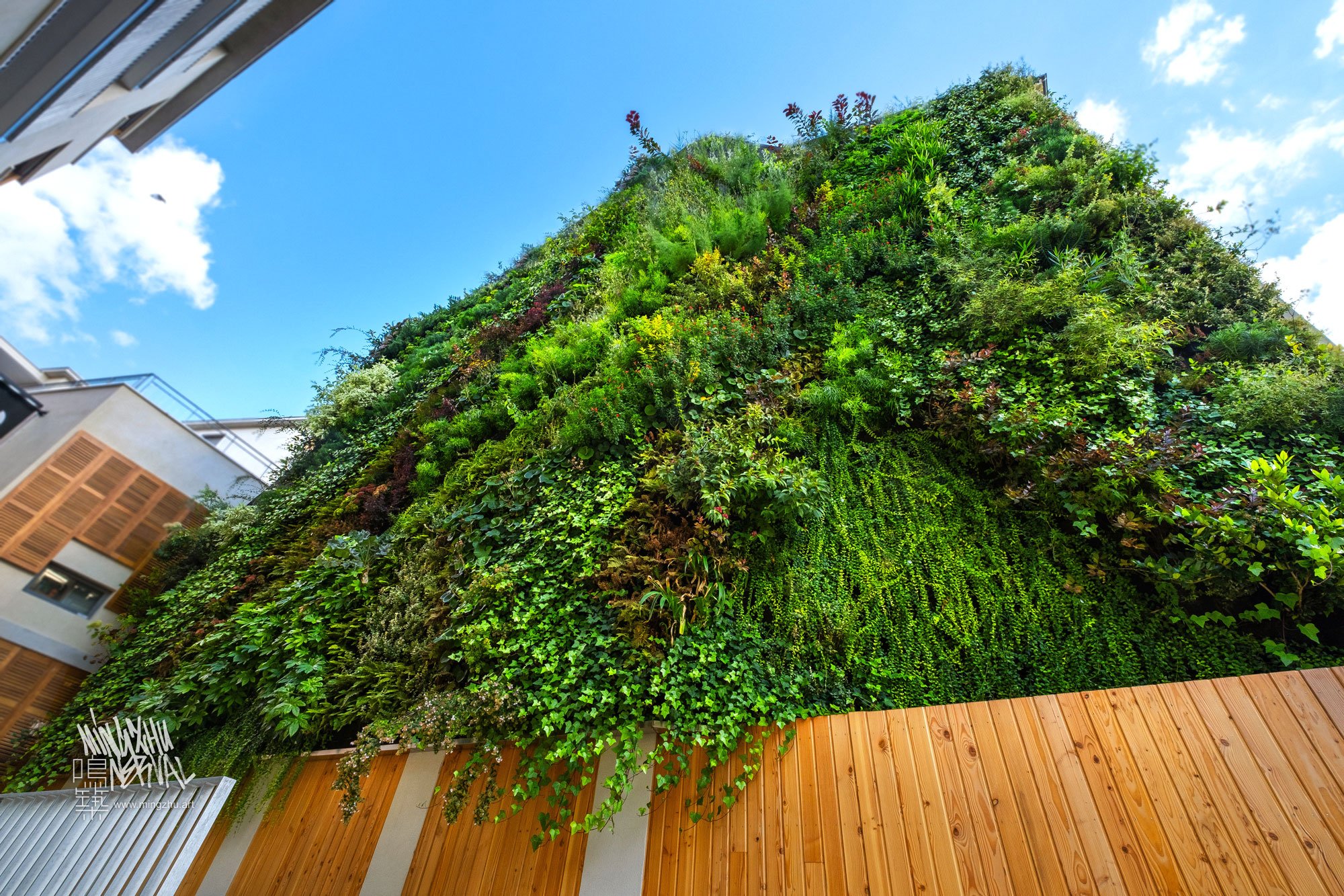 Mingzhu Nerval living wall mural in Macon, France