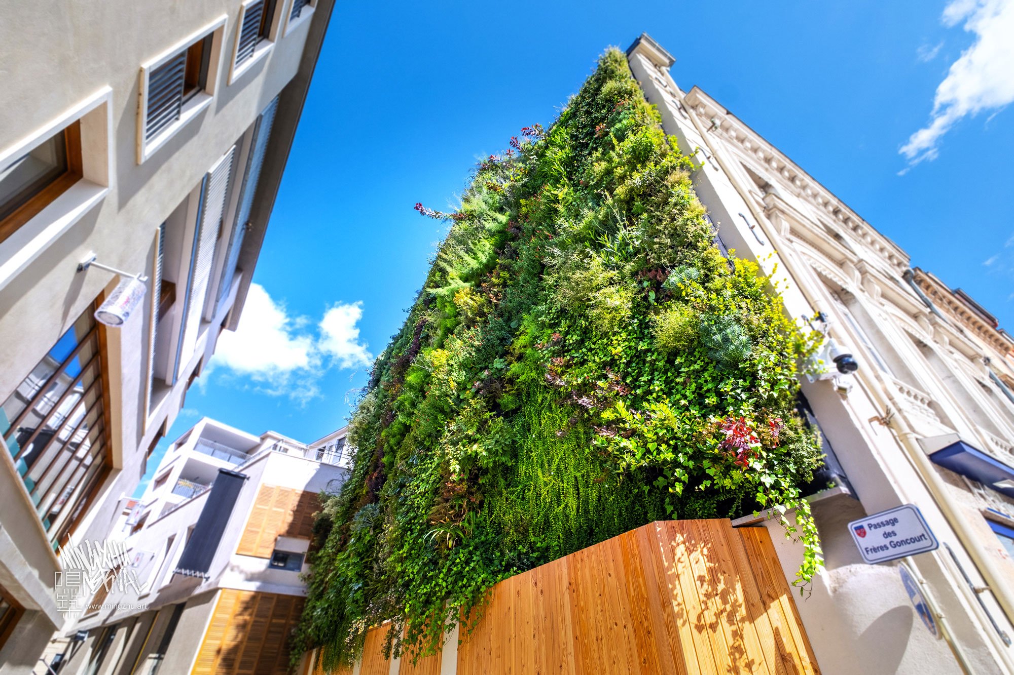 Mingzhu Nerval living wall mural in Macon, France