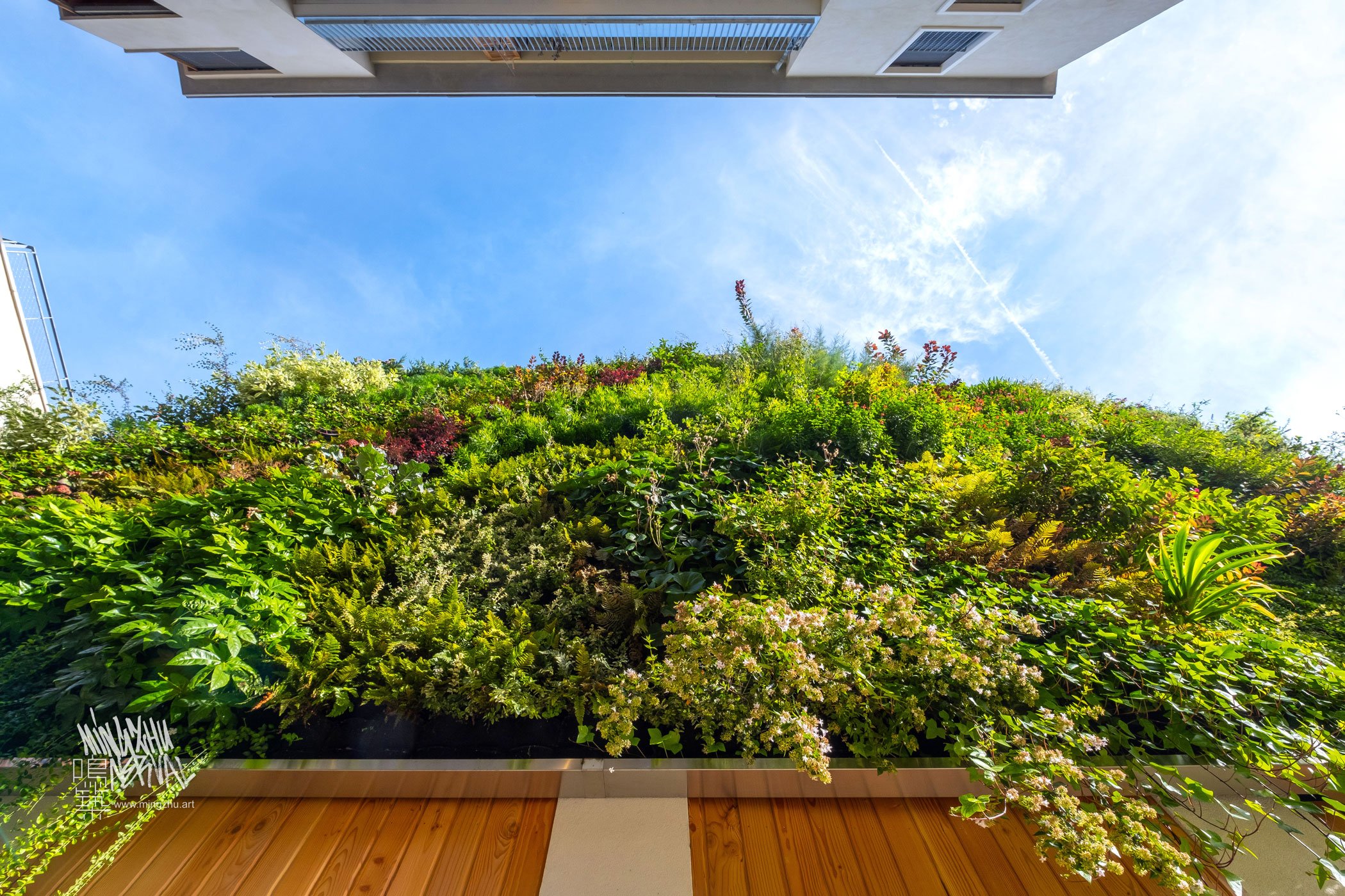 Mingzhu Nerval living wall mural in Macon, France