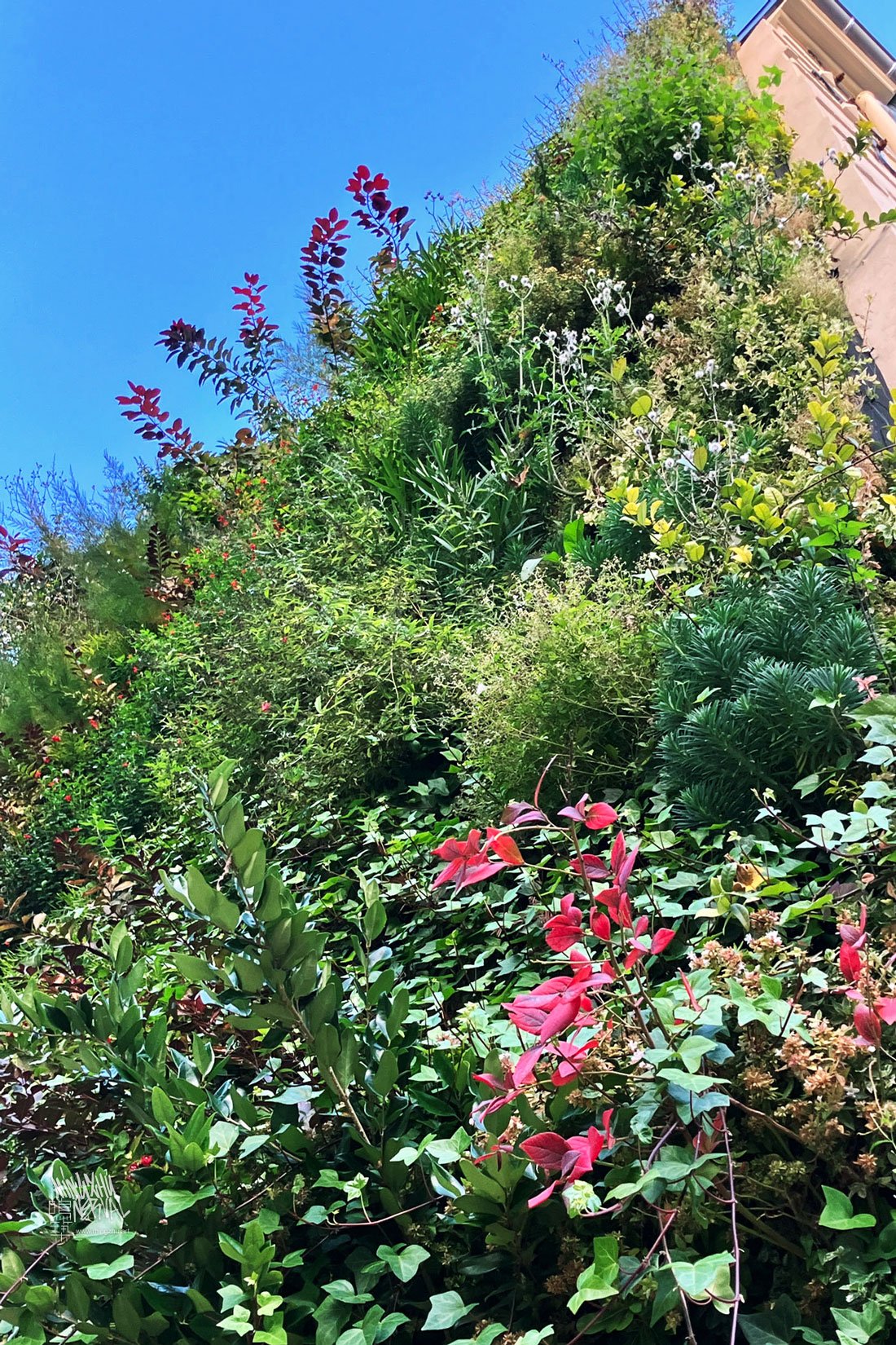 Mingzhu Nerval living wall mural in Macon, France