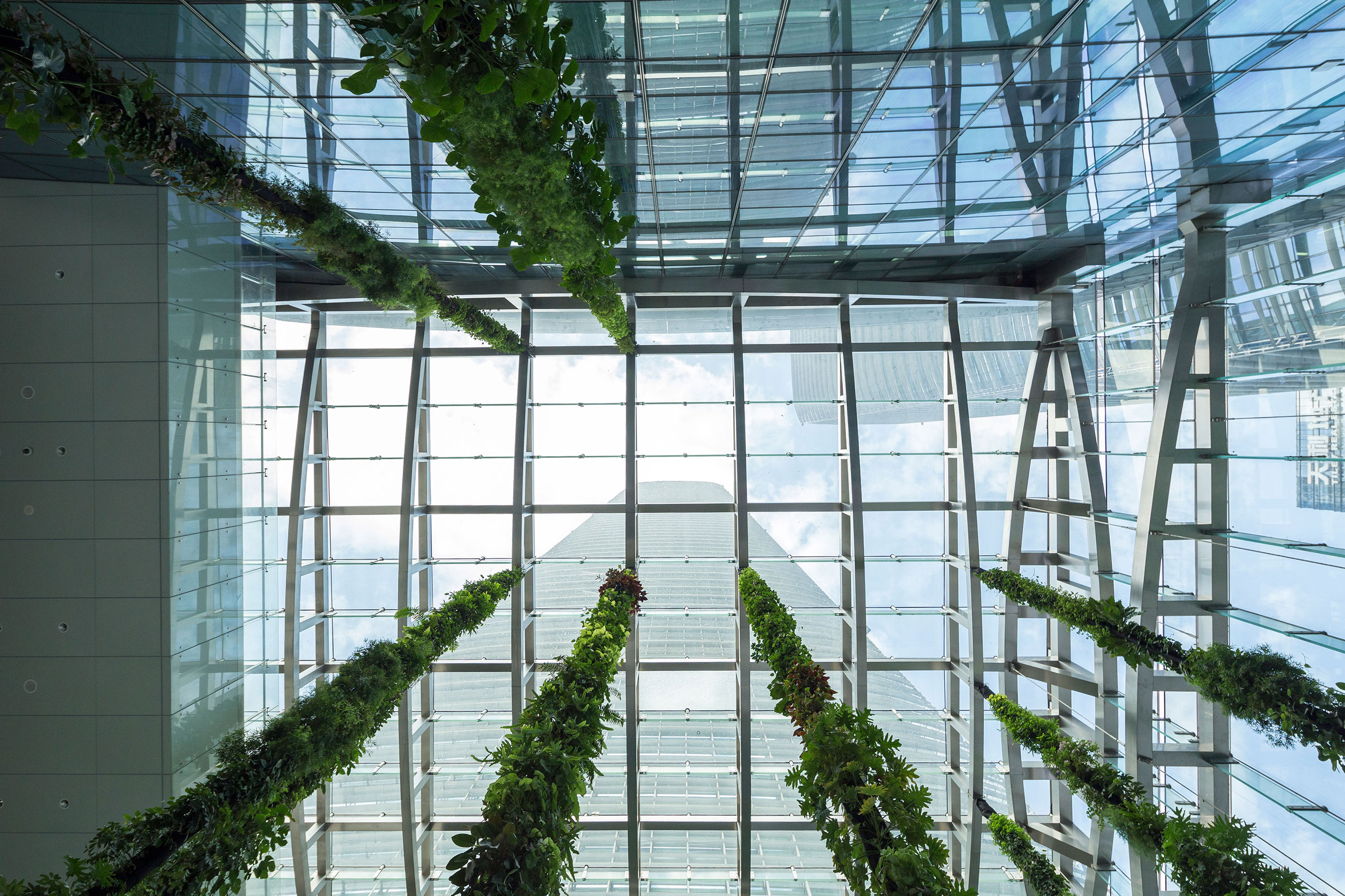 Vertical Liana garden by Mingzhu Nerval at the SCC Tower in Shenzhen, 2016