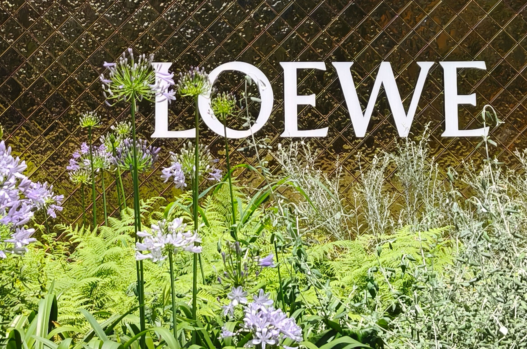 Mingzhu Nerval, building a garden for LOEWE Casa in Shanghai, 2025