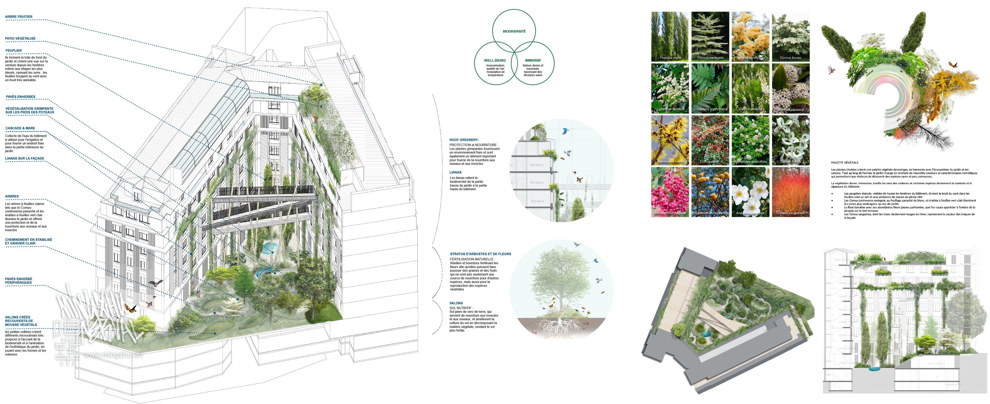 Mingzhu Nerval with Axel Shoenert Architects, Concept Design, Paris 2023