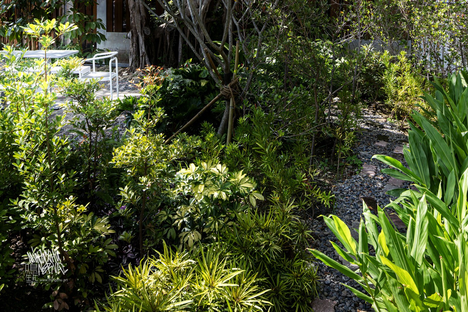 Mingzhu Nerval, Botany Academy in Hengchun, Kenting, Taiwan, 2025