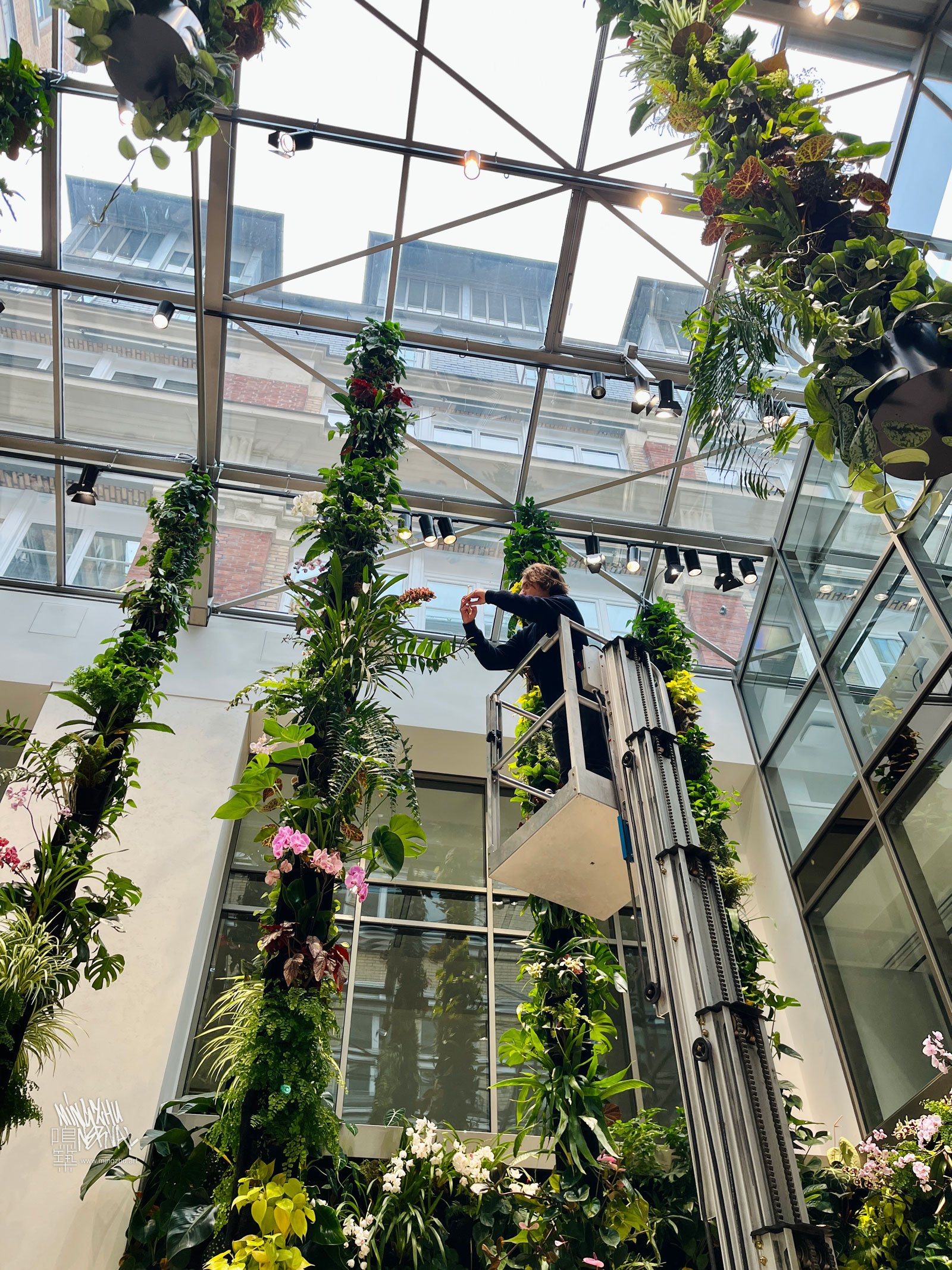 Mingzhu Nerval, hanging orchid garden in Paris, 2026