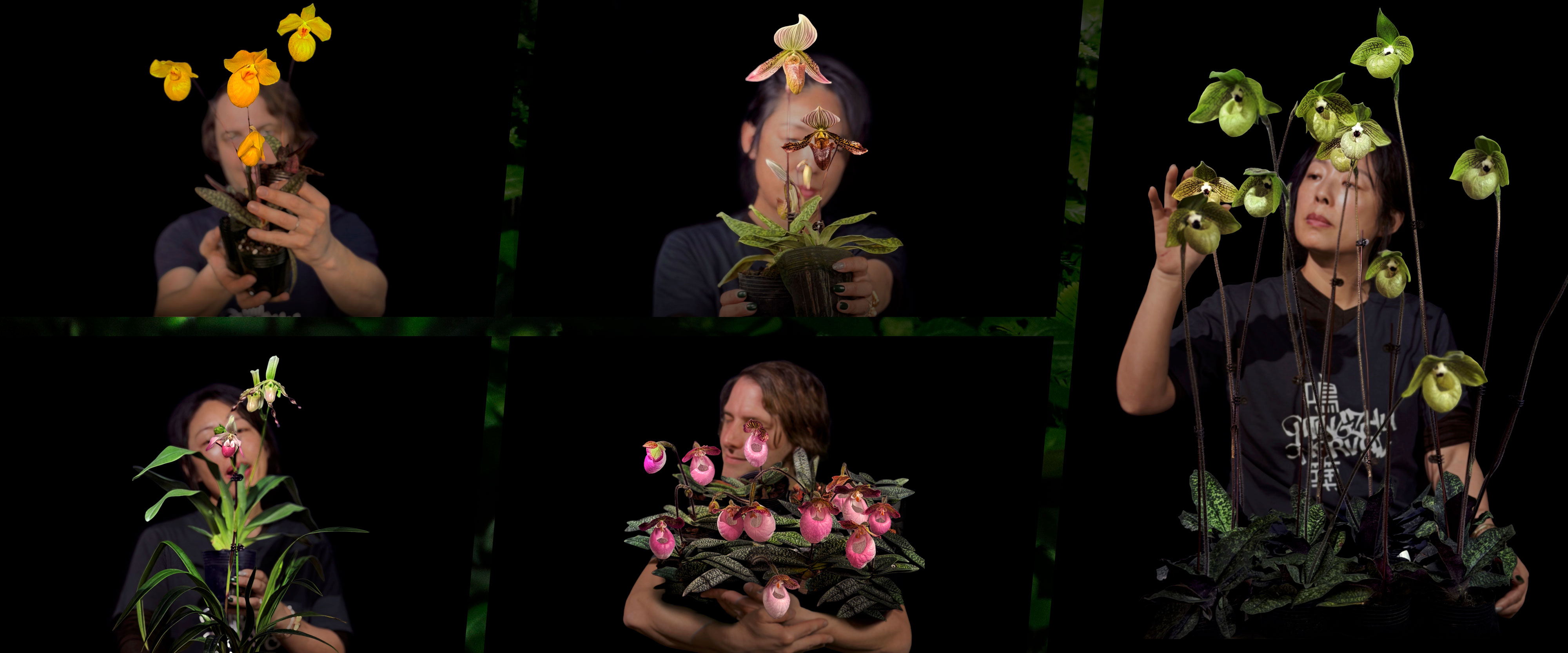 Mingzhu Nerval, landscape design as art, orchid and vertical living wall experts