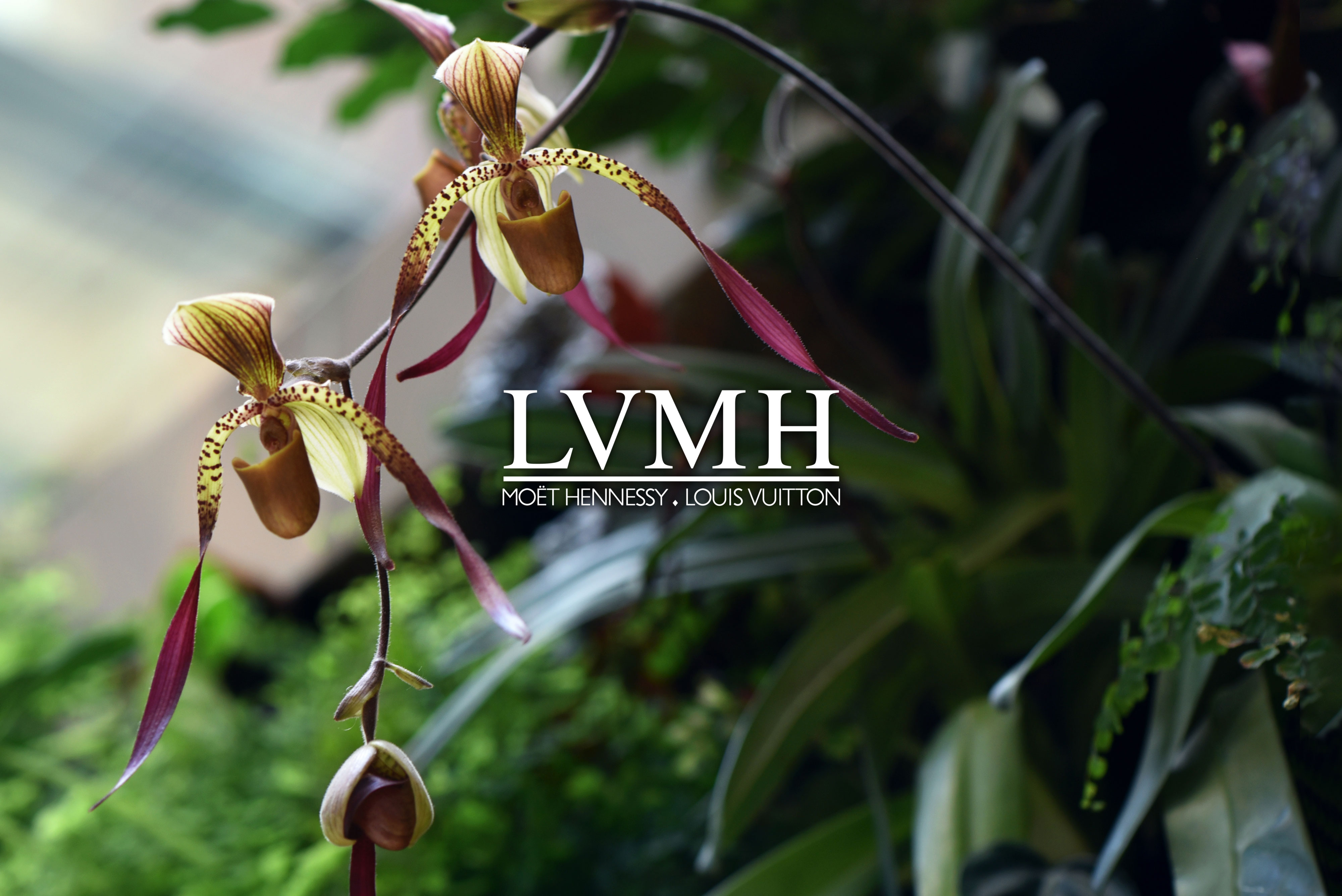 0_MZN_LVMH-HQ-Paris_Project-a_sfw