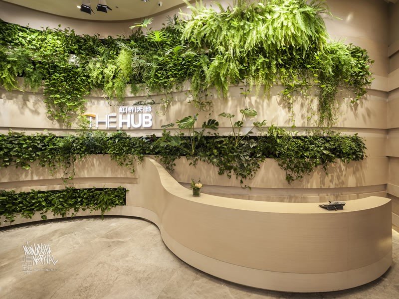 Mingzhu Nerval vertical living wall experts created the green living wall garden design at the Shui-On Showroom, The Hub in Shanghai, 2012